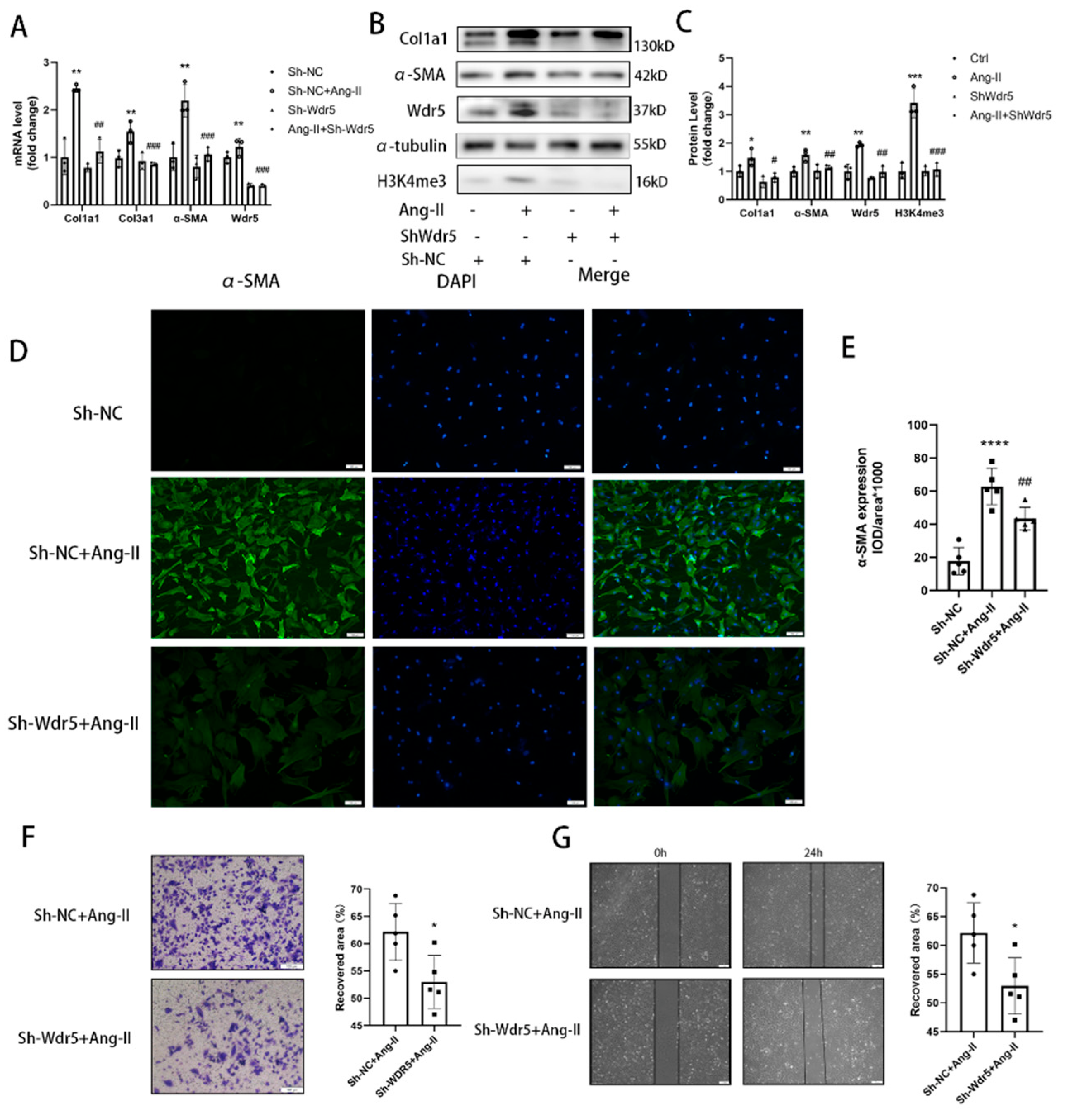 Biomolecules 12 01574 g004