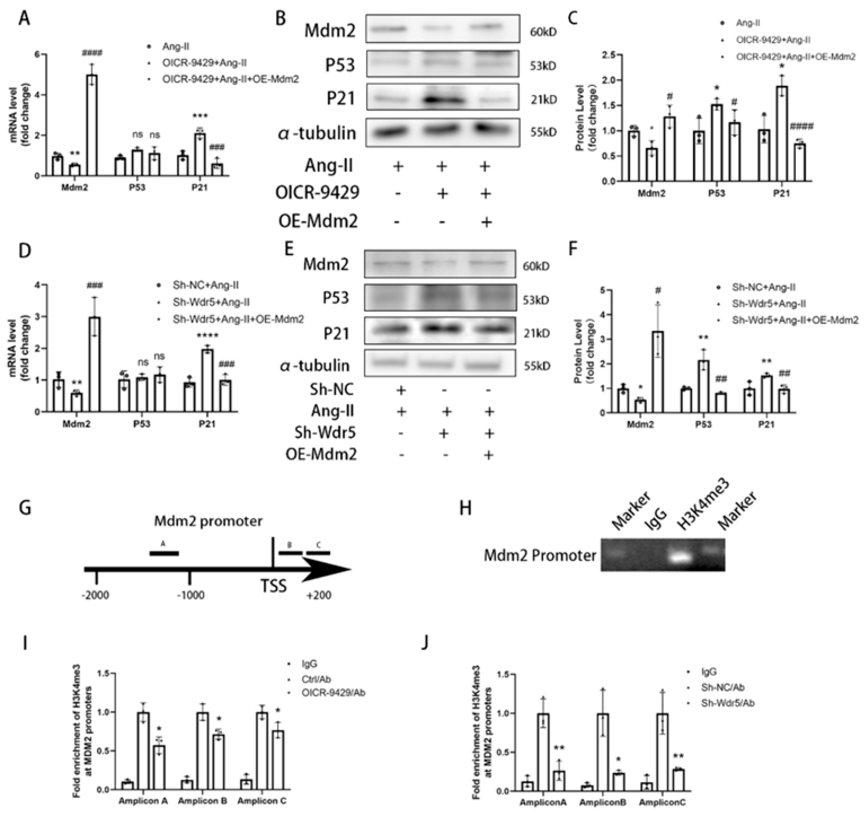 Biomolecules 12 01574 g006