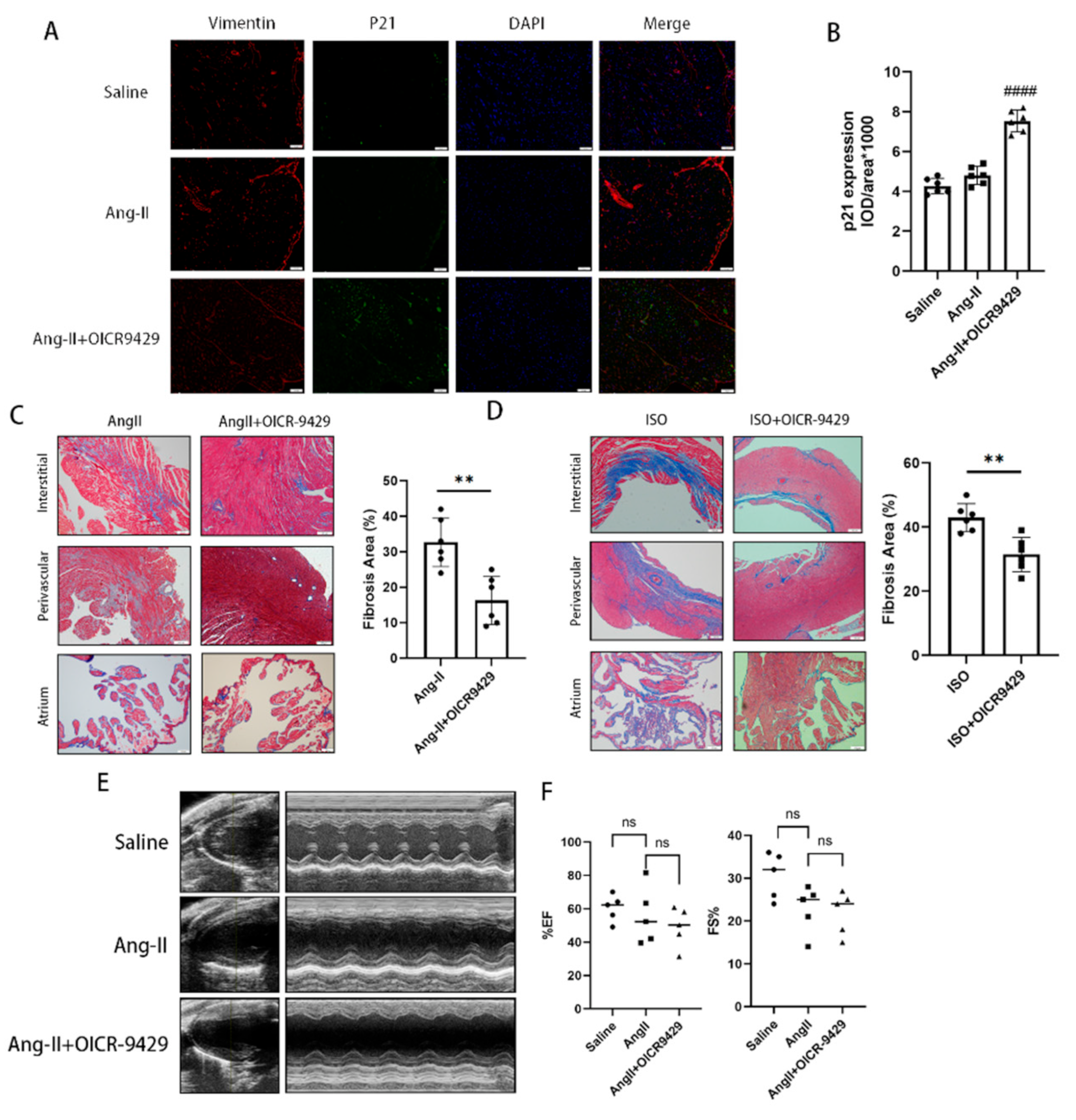 Biomolecules 12 01574 g007