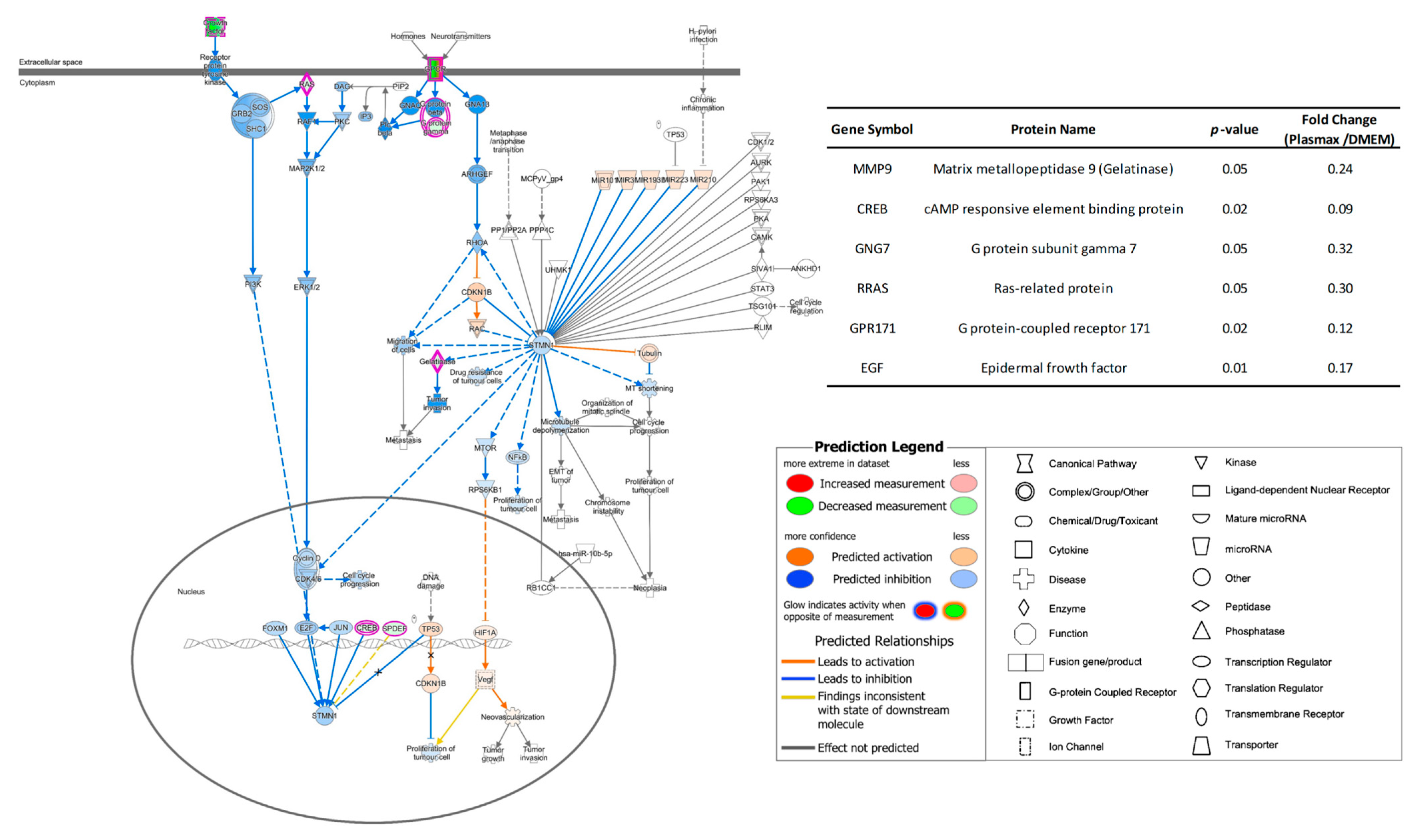 Biomolecules 12 01575 g002 Biomolecules 12 01575 g002