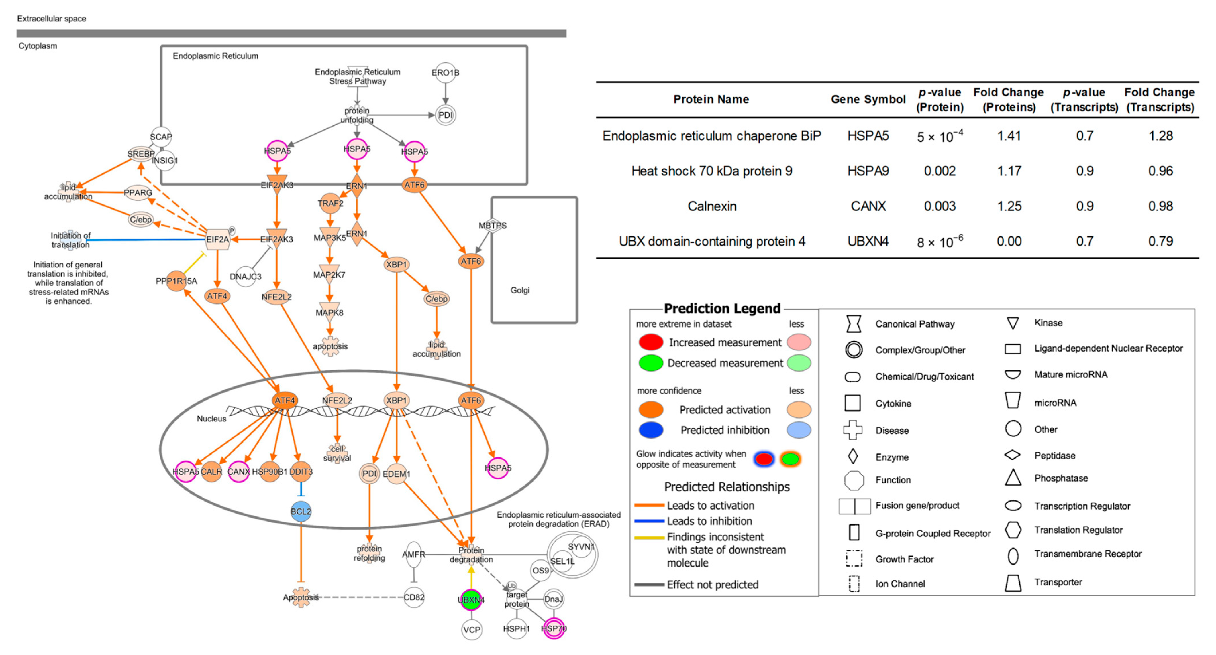 Biomolecules 12 01575 g006 Biomolecules 12 01575 g006