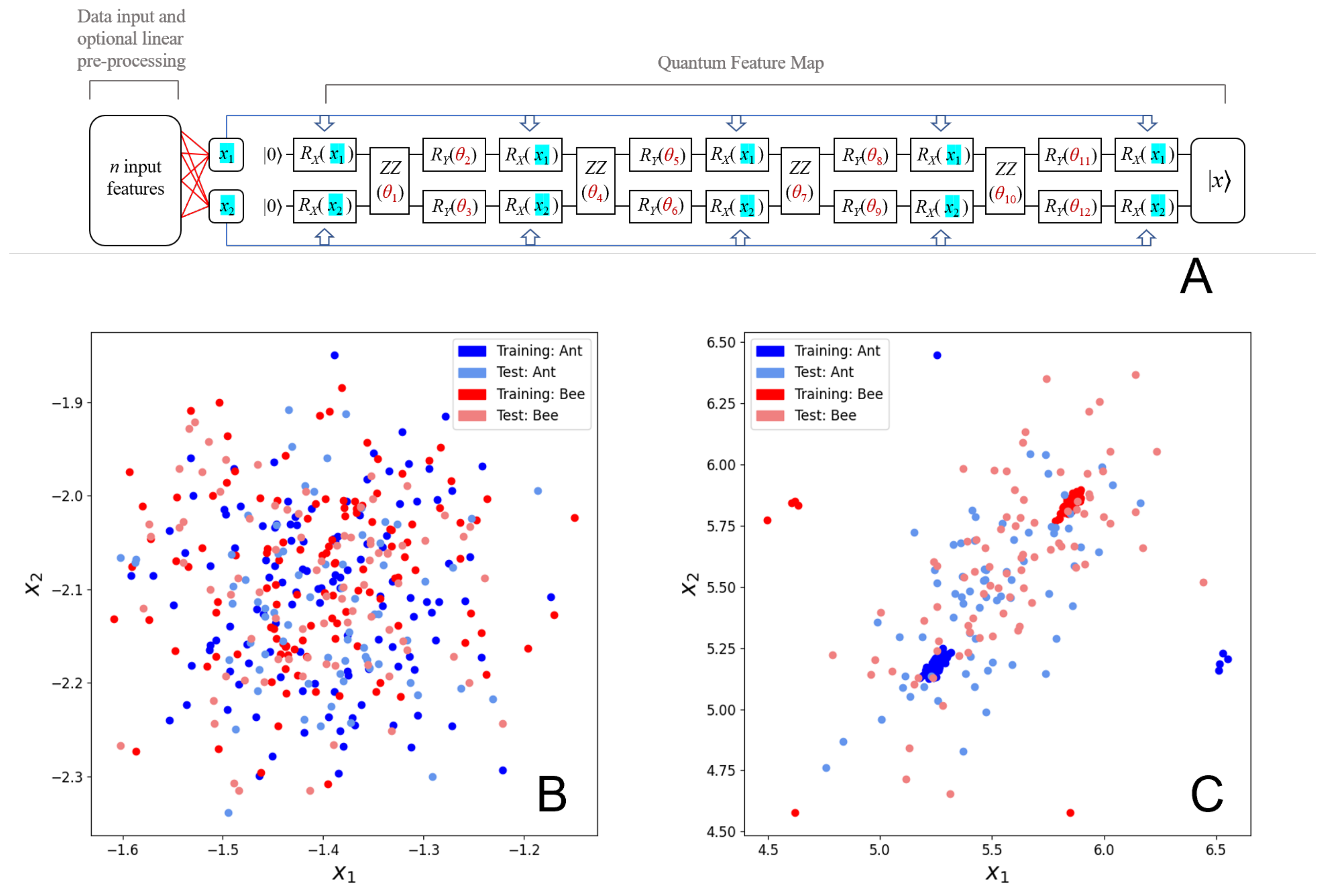 Biomolecules 12 01576 g001 Biomolecules 12 01576 g001