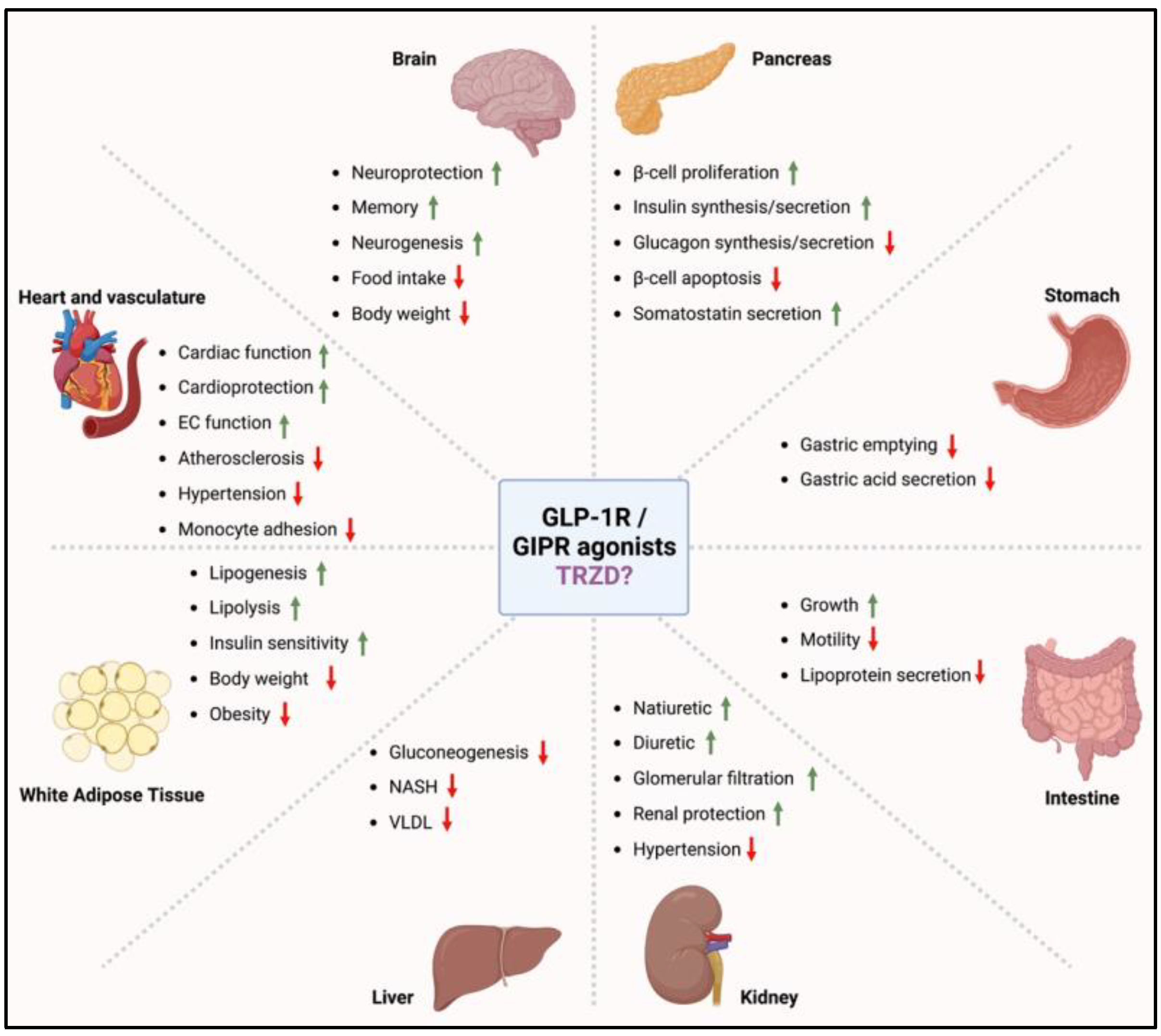 Biomolecules 12 01580 g001 Biomolecules 12 01580 g001