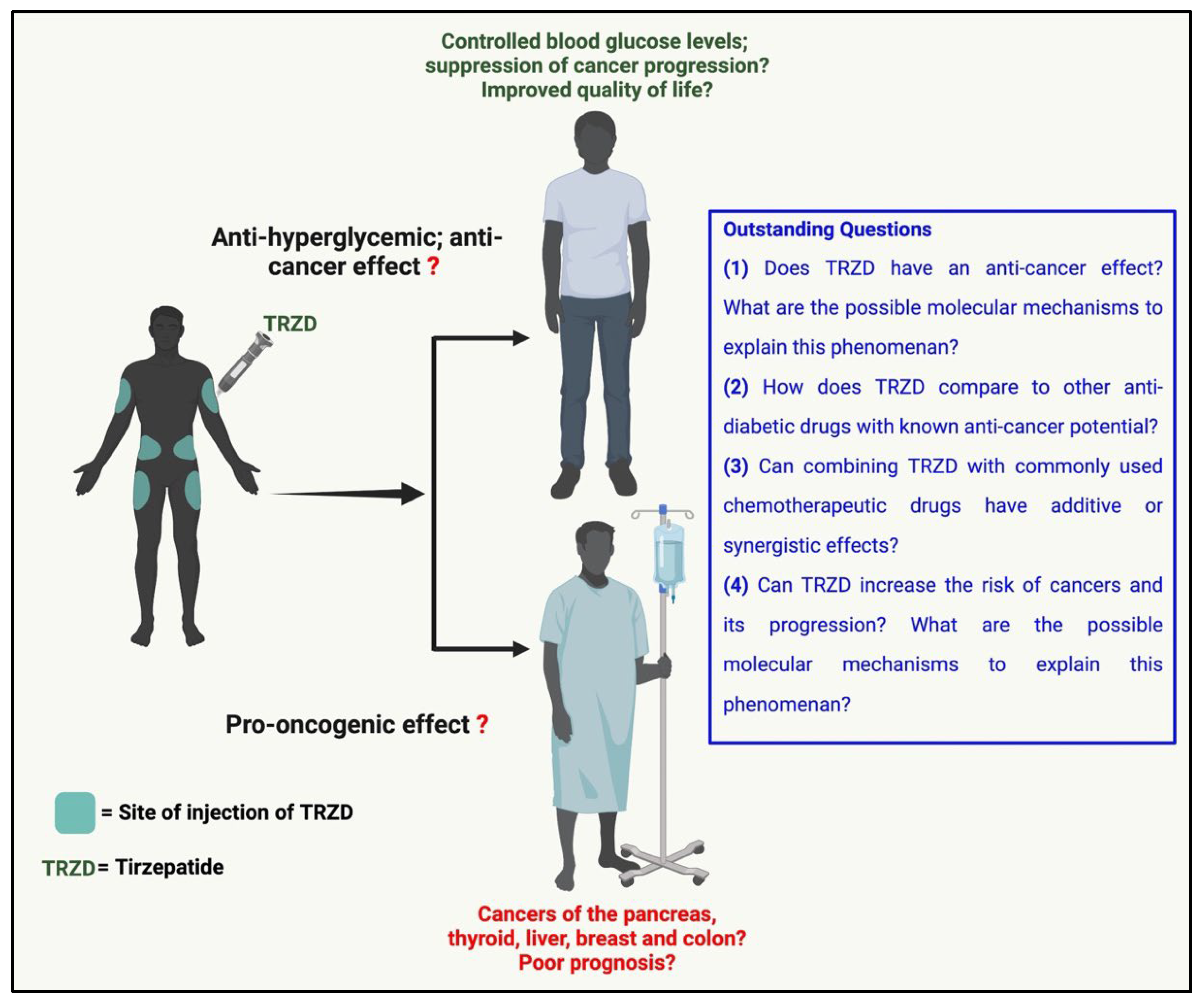 Biomolecules Free Full Text Tirzepatide—Friend or Foe in Diabetic