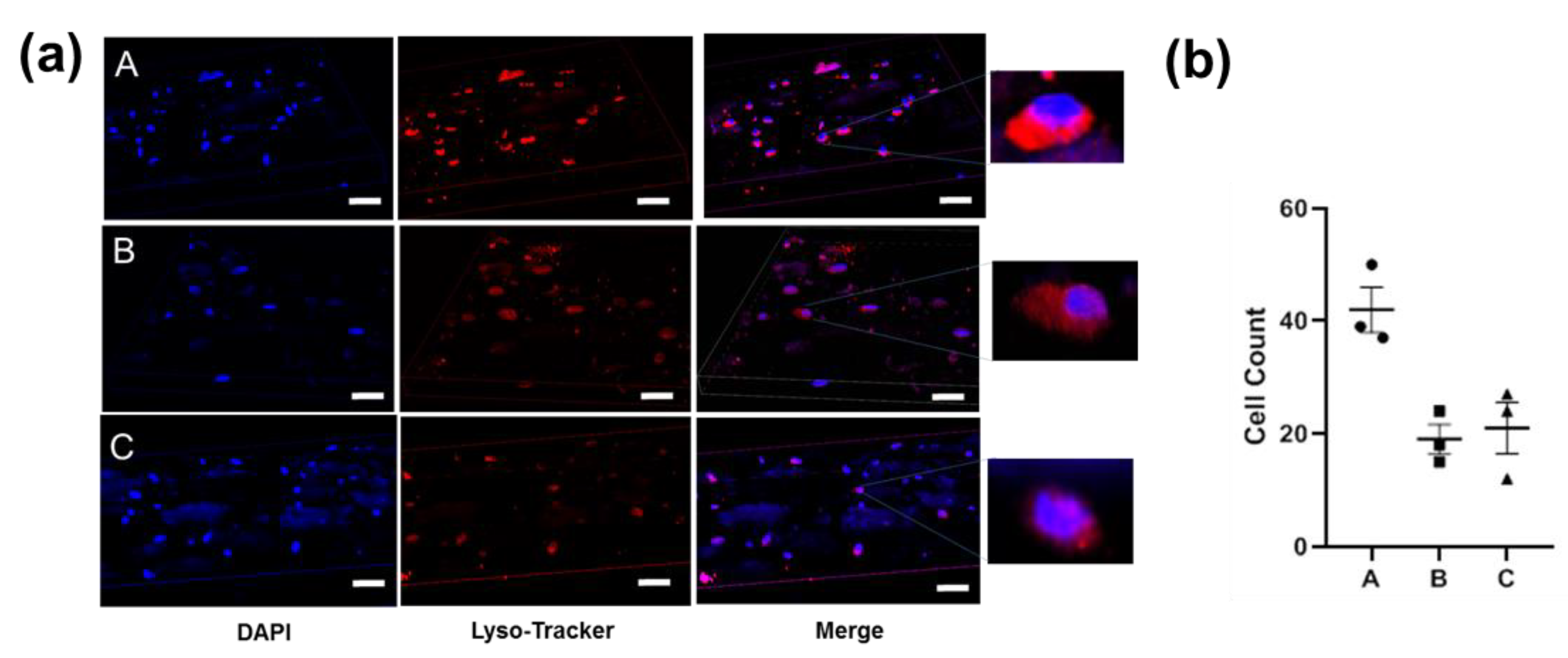 Biomolecules 12 01582 g007 Biomolecules 12 01582 g007