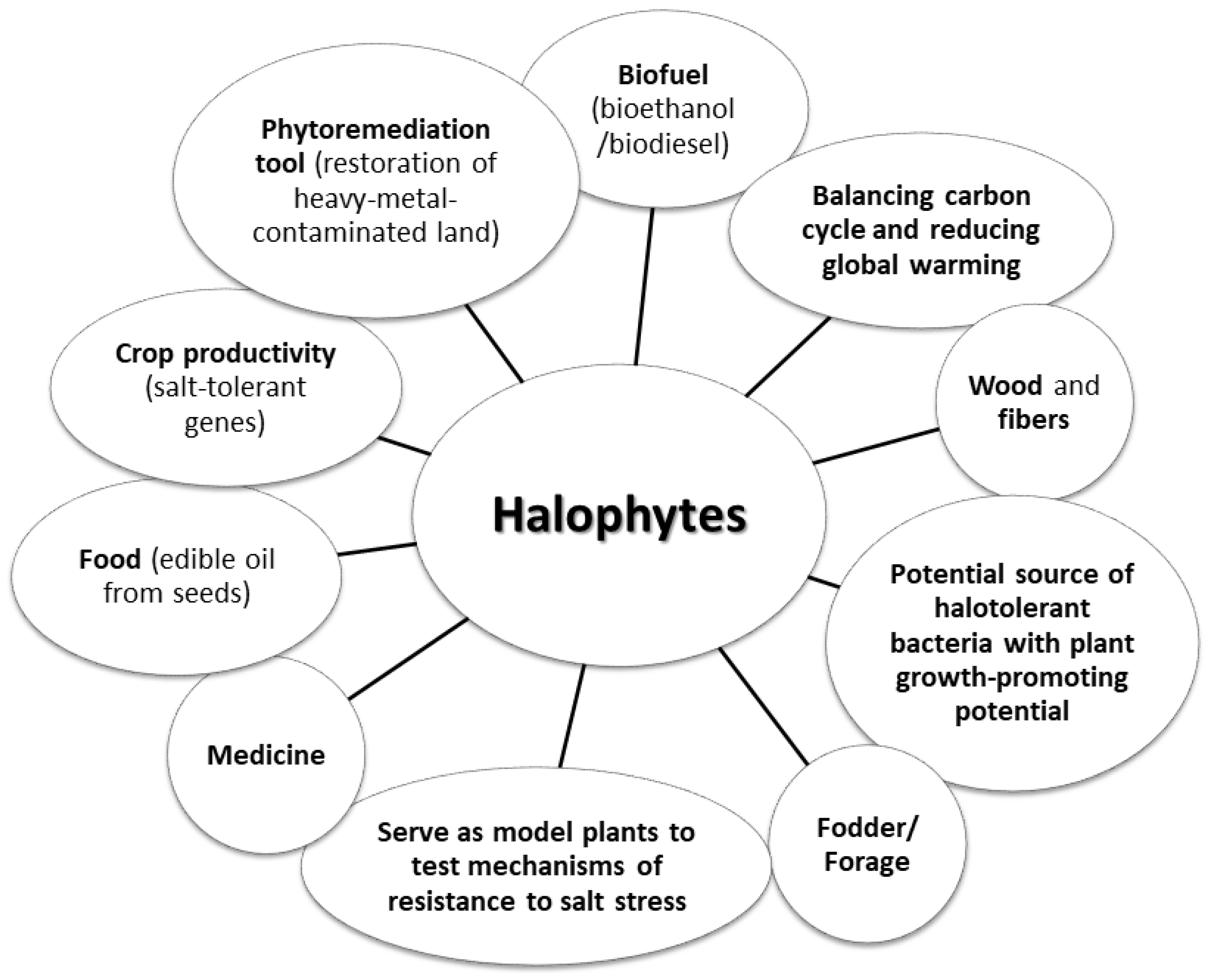 Biomolecules 12 01583 g001