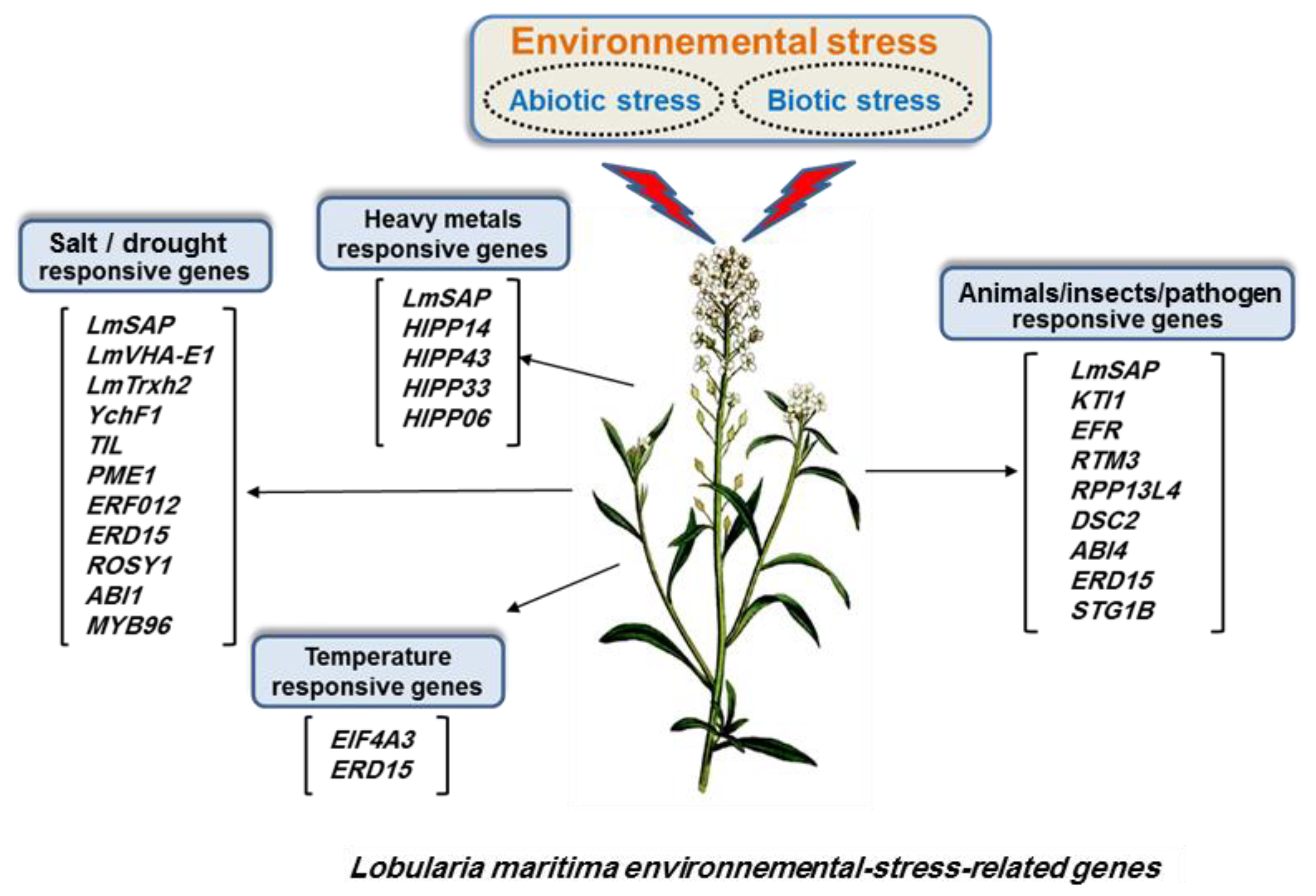 Evaluation of Halophyte Biopotential as an Unused Natural