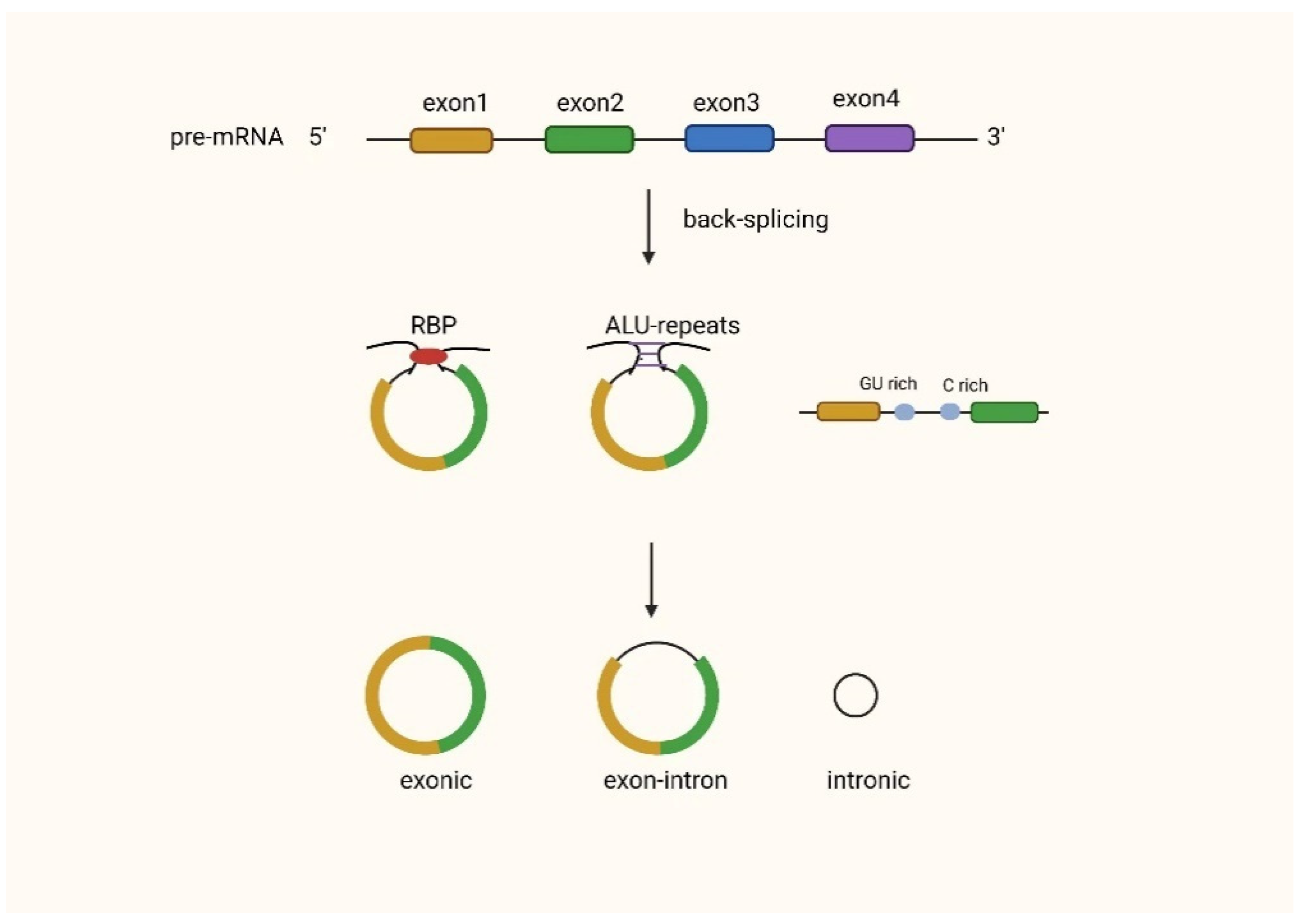 Biomolecules 12 01586 g001