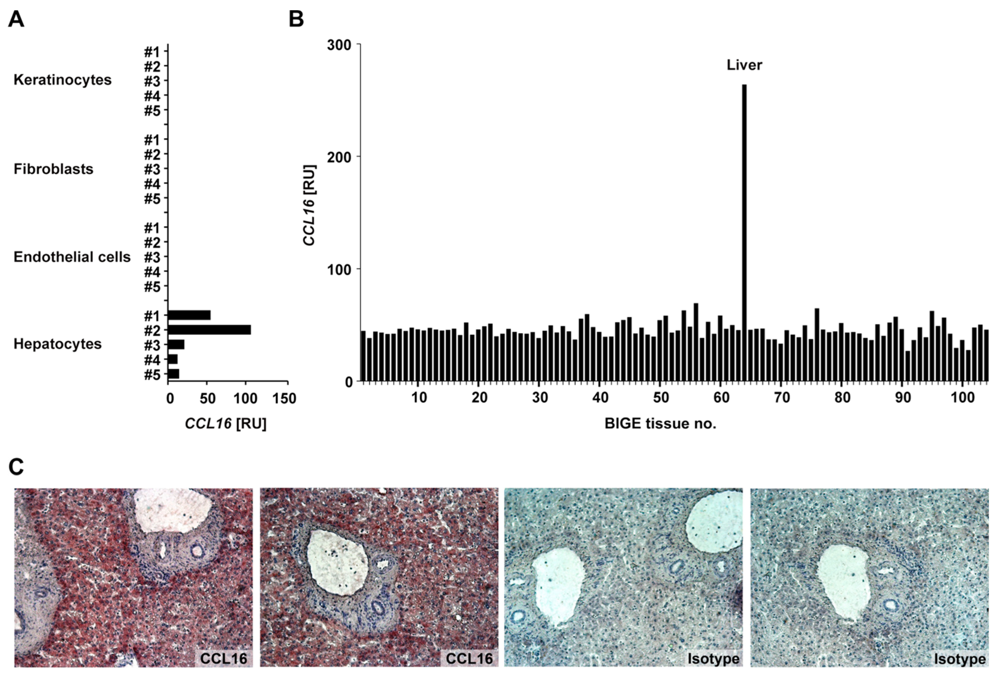 Biomolecules 12 01588 g001 Biomolecules 12 01588 g001