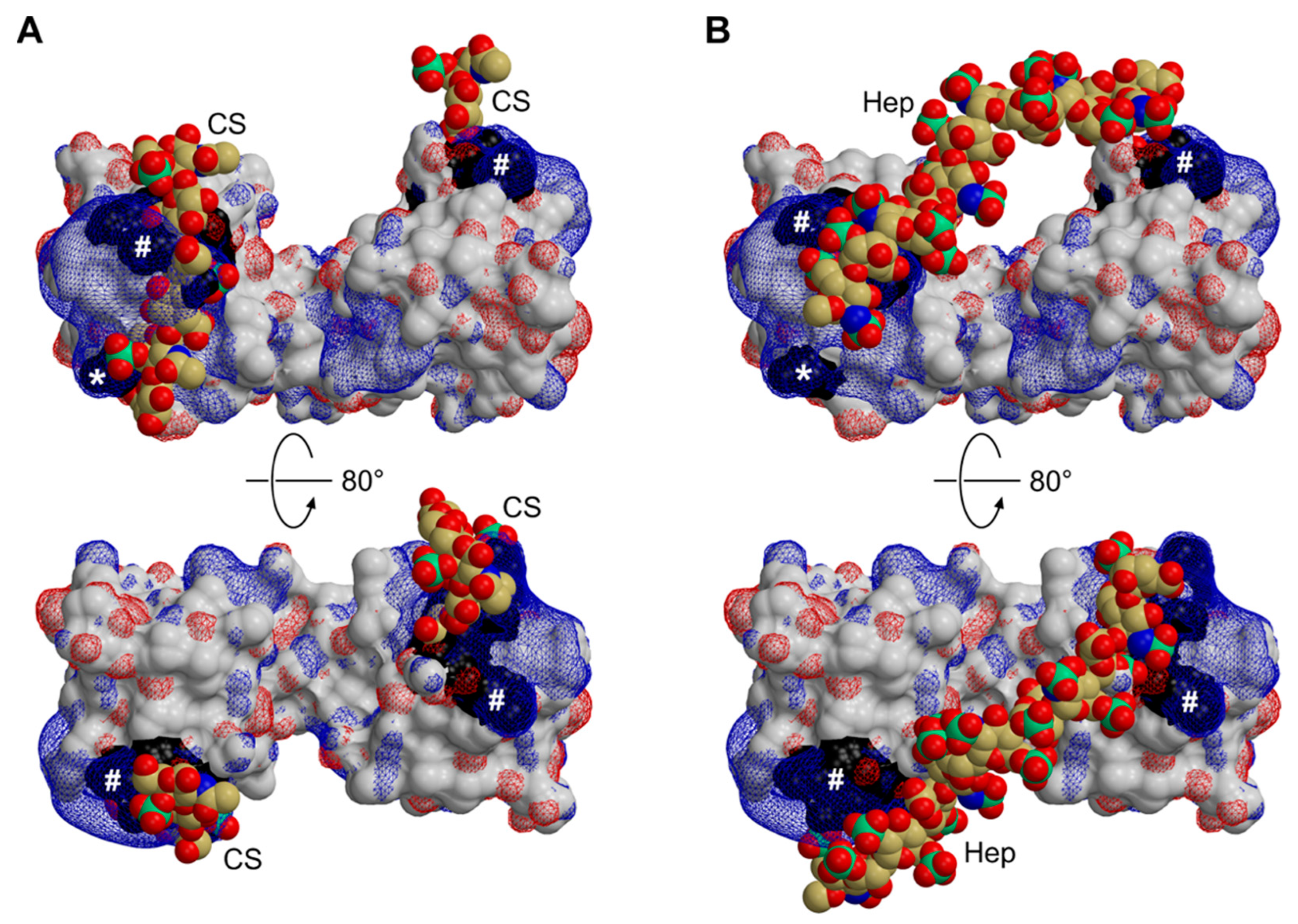 Biomolecules 12 01588 g005 Biomolecules 12 01588 g005