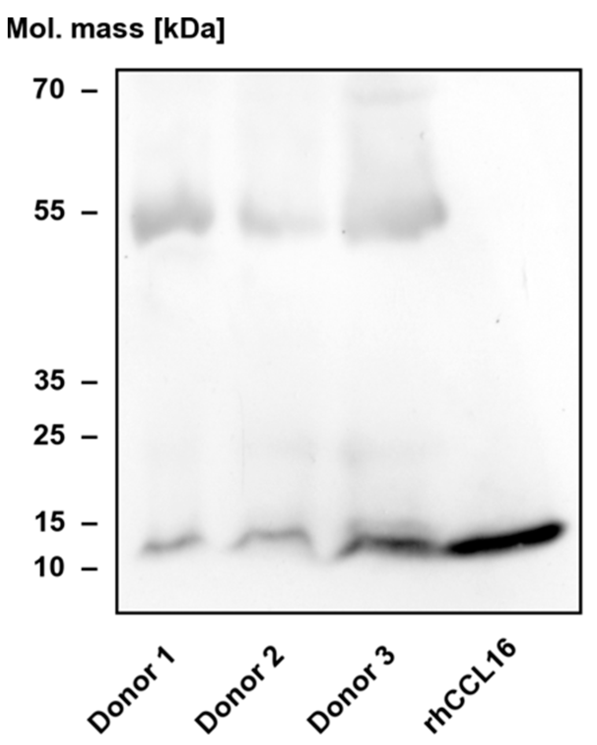 Biomolecules 12 01588 g007 Biomolecules 12 01588 g007