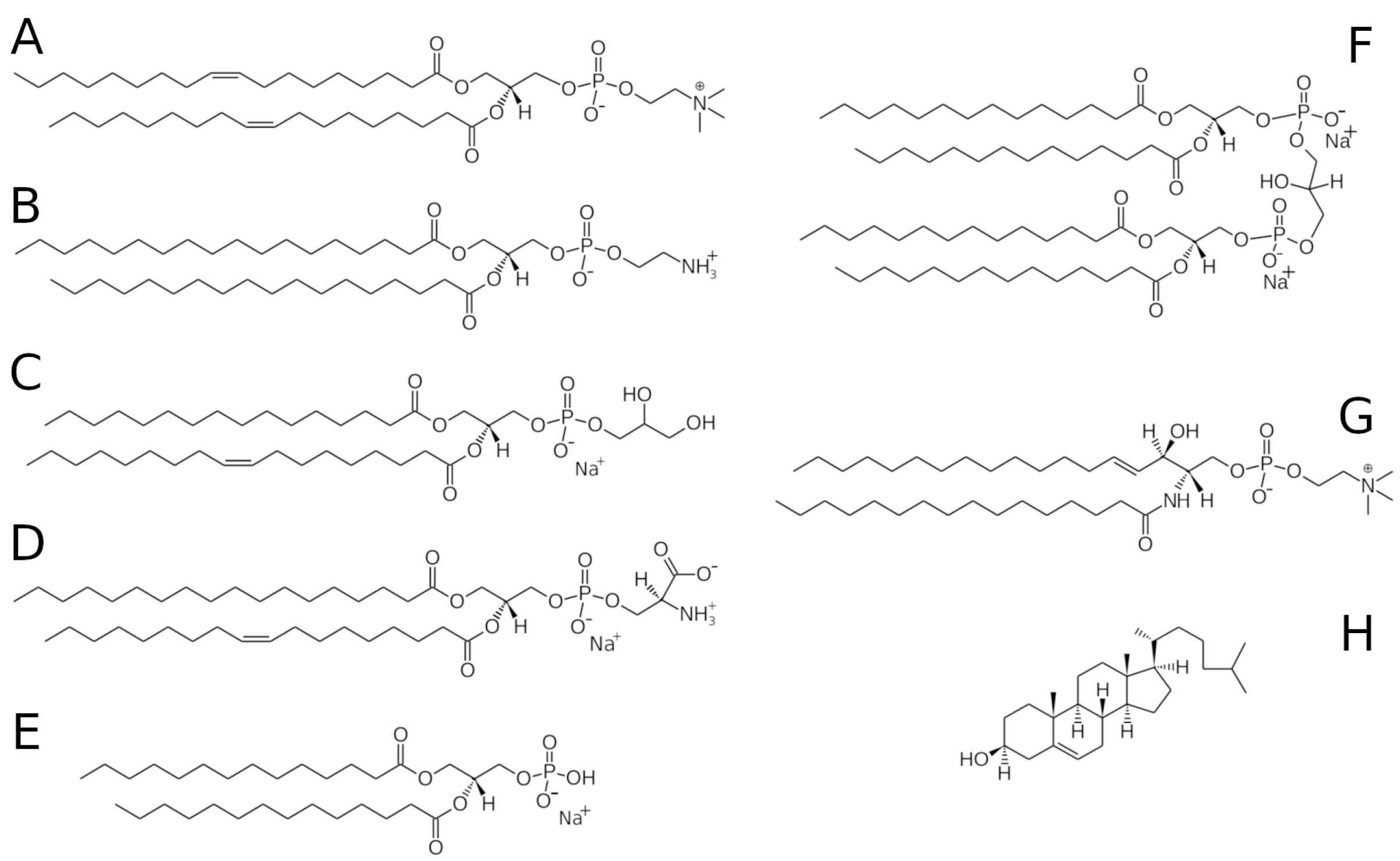 Biomolecules 12 01591 g001 Biomolecules 12 01591 g001