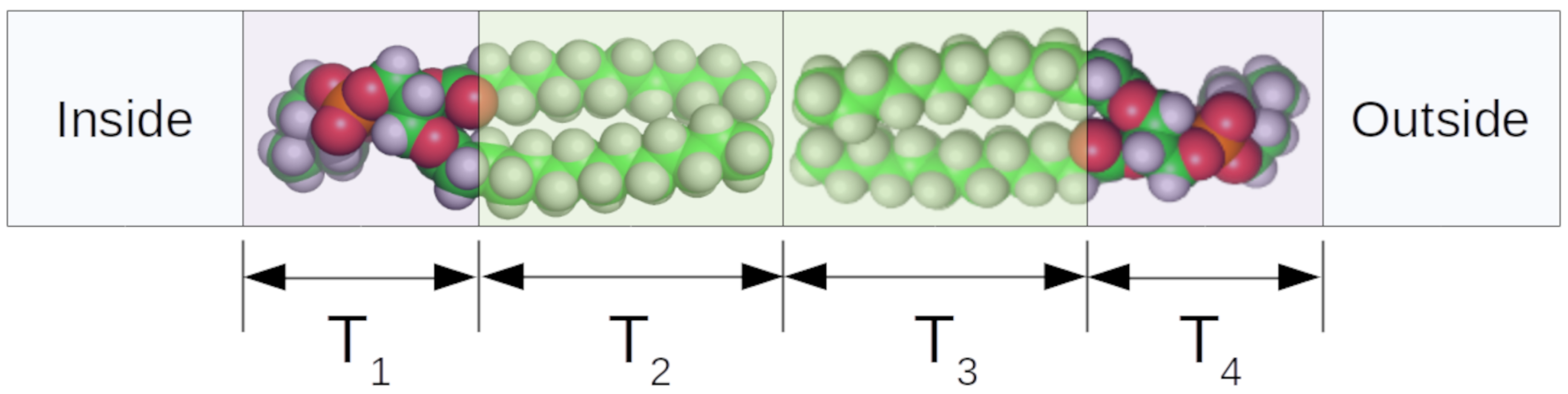 Biomolecules 12 01591 g005 Biomolecules 12 01591 g005