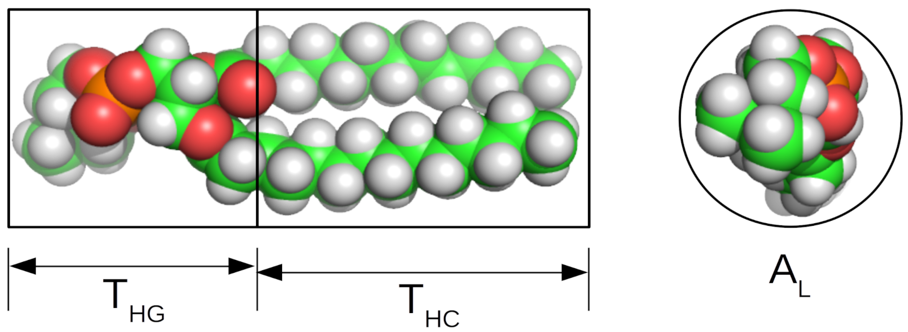 Biomolecules 12 01591 g006 Biomolecules 12 01591 g006