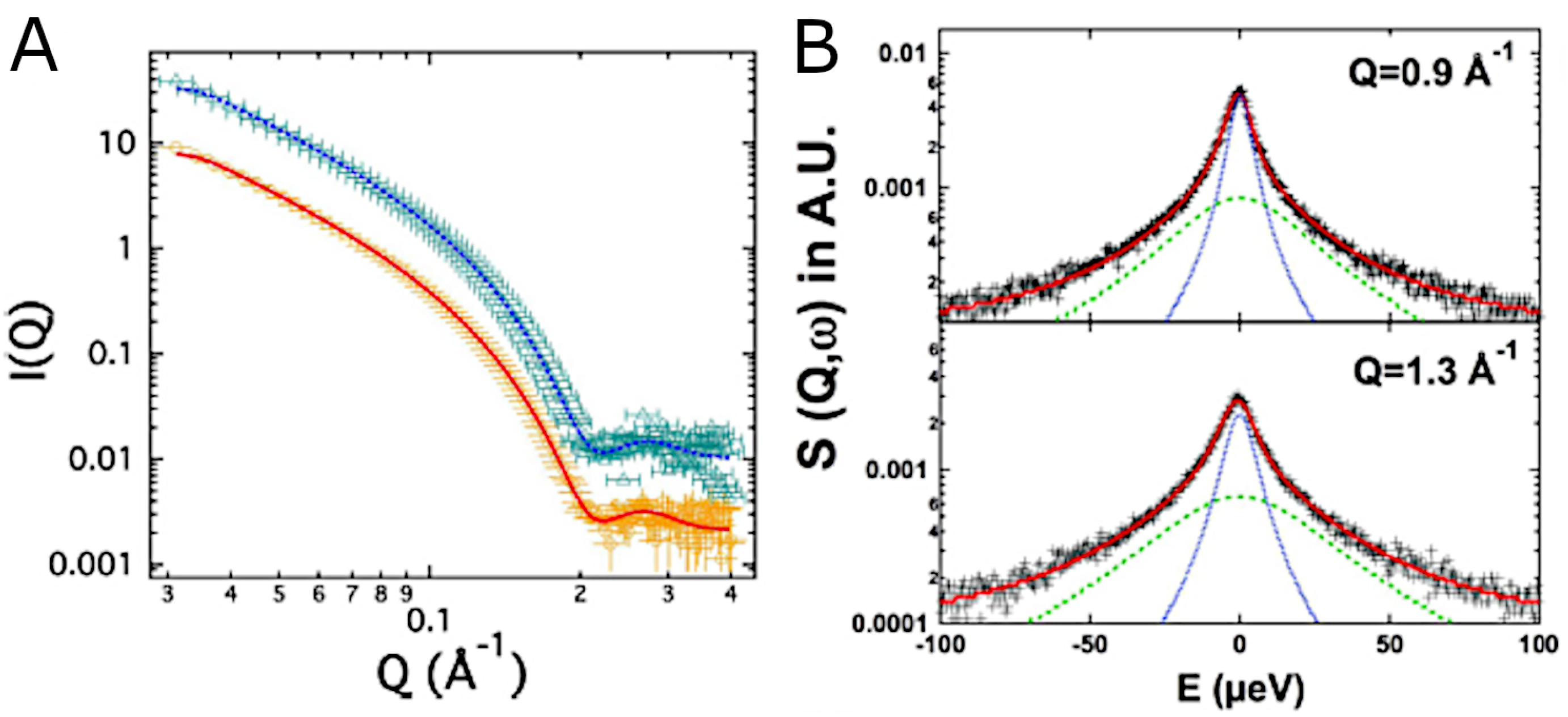 Biomolecules 12 01591 g009 Biomolecules 12 01591 g009