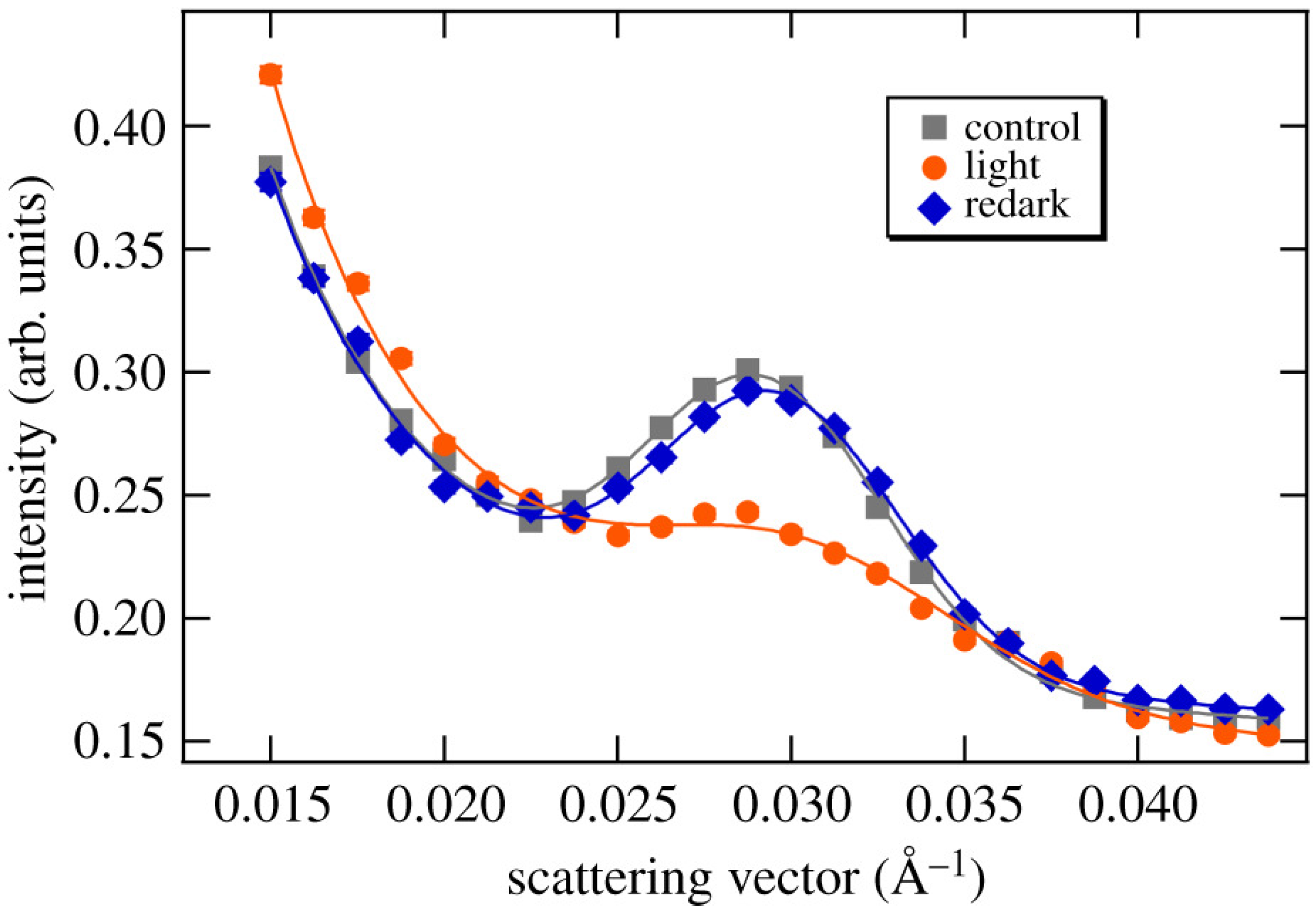 Biomolecules 12 01591 g011 Biomolecules 12 01591 g011