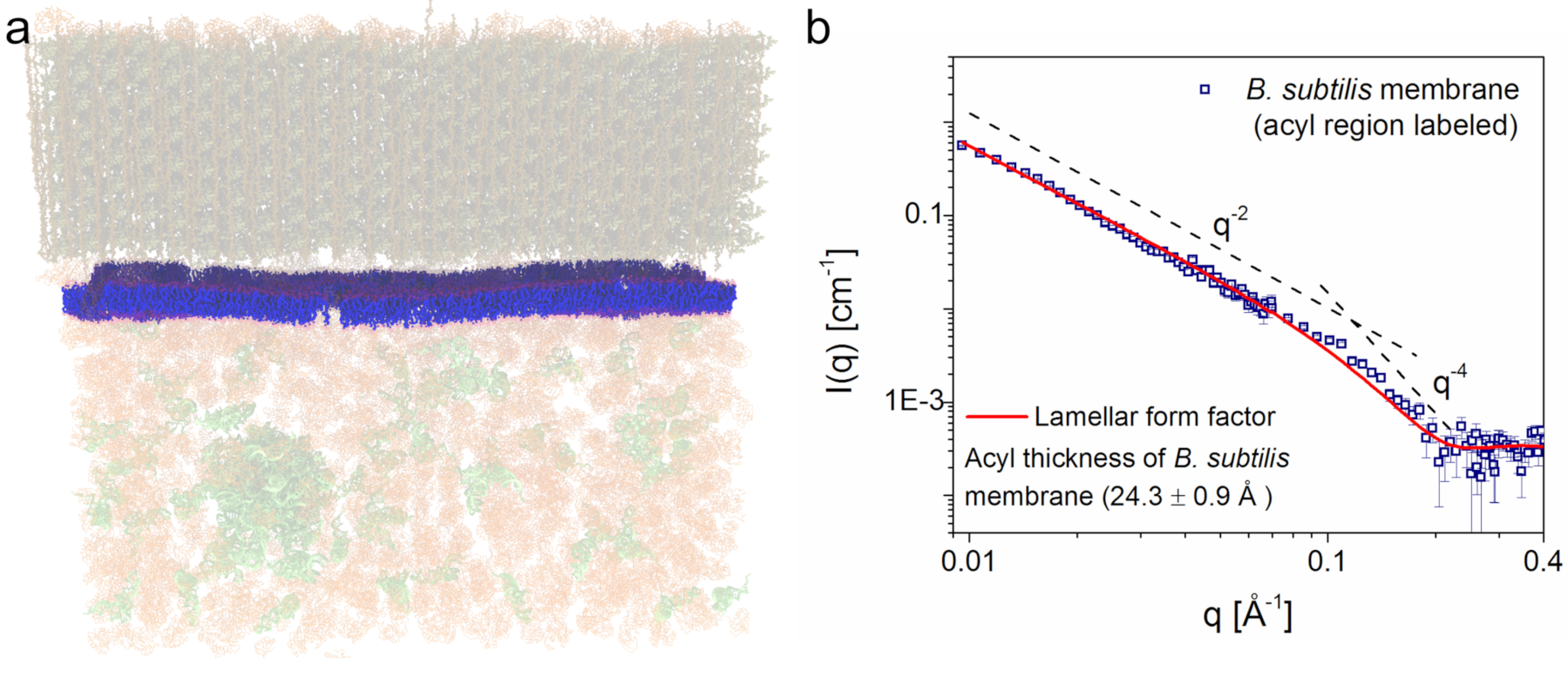 Biomolecules 12 01591 g012 Biomolecules 12 01591 g012