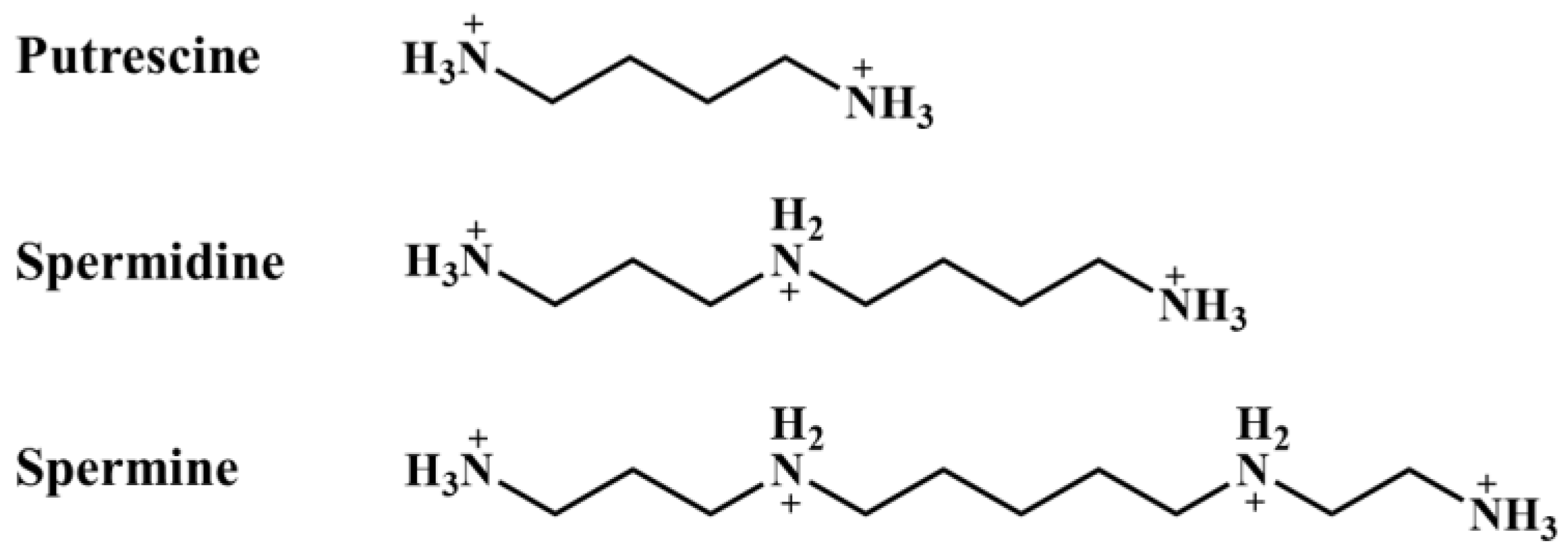Biomolecules 12 01596 g001 Biomolecules 12 01596 g001