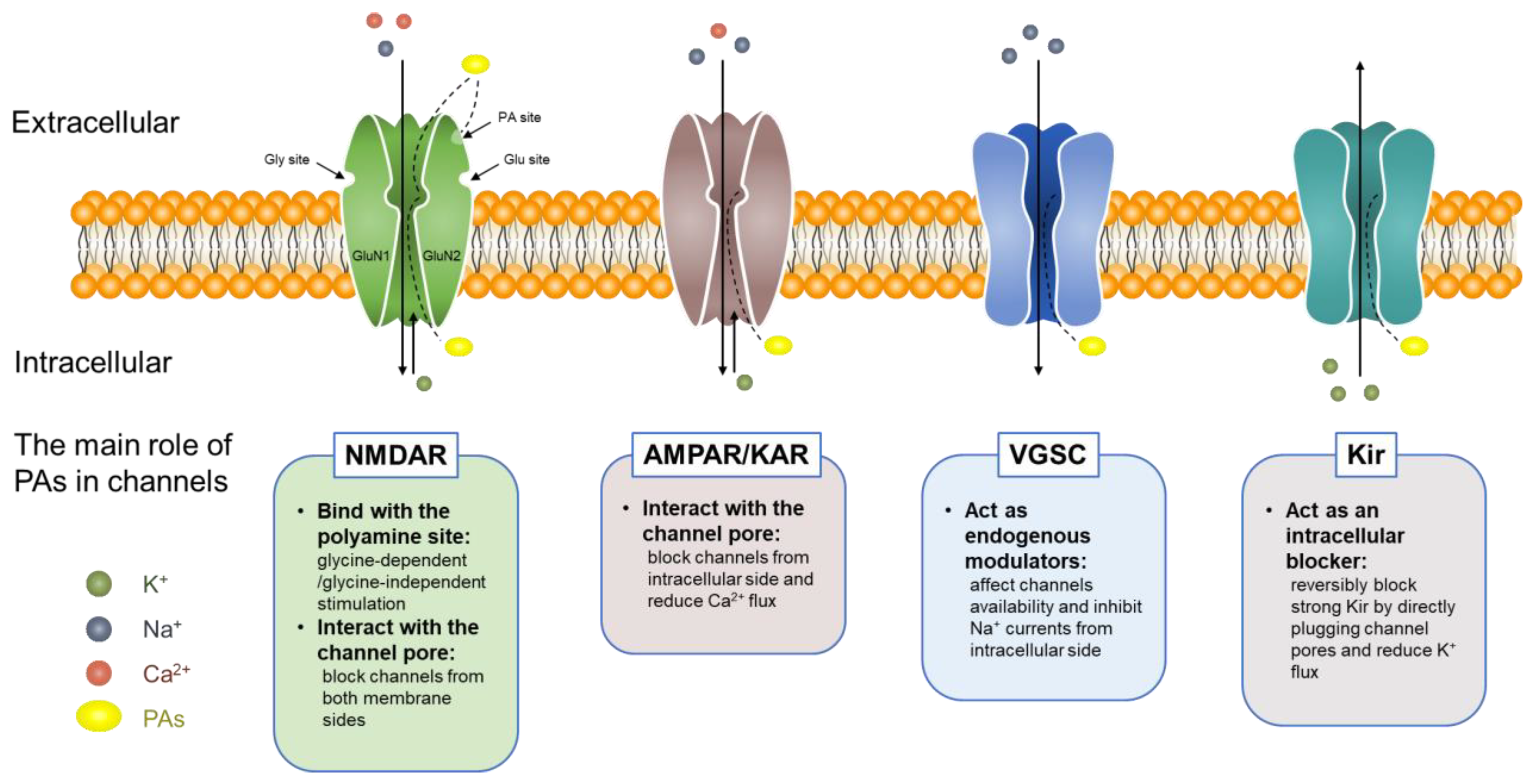 Biomolecules 12 01596 g004 Biomolecules 12 01596 g004