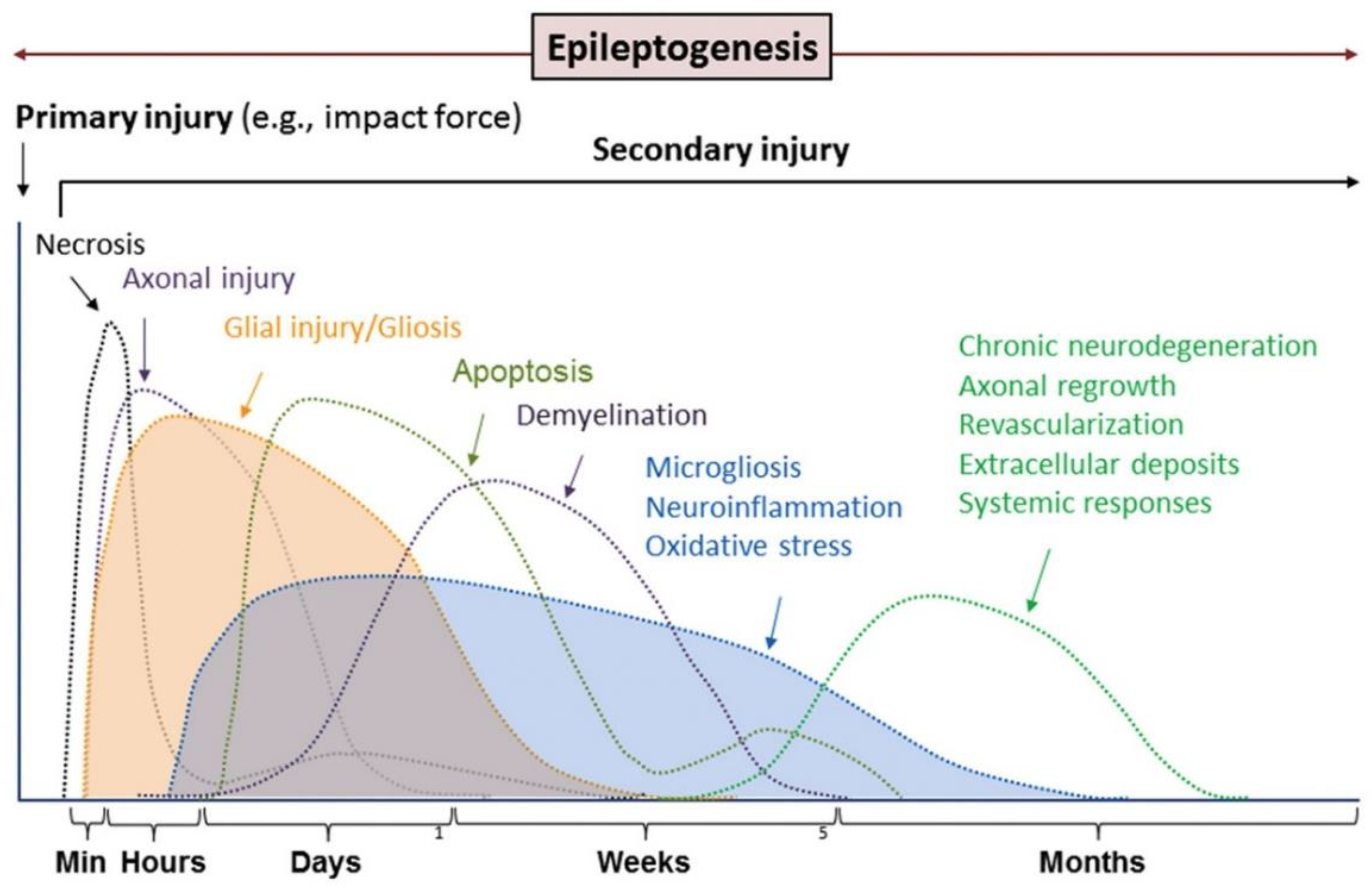 Biomolecules 12 01596 g005 Biomolecules 12 01596 g005