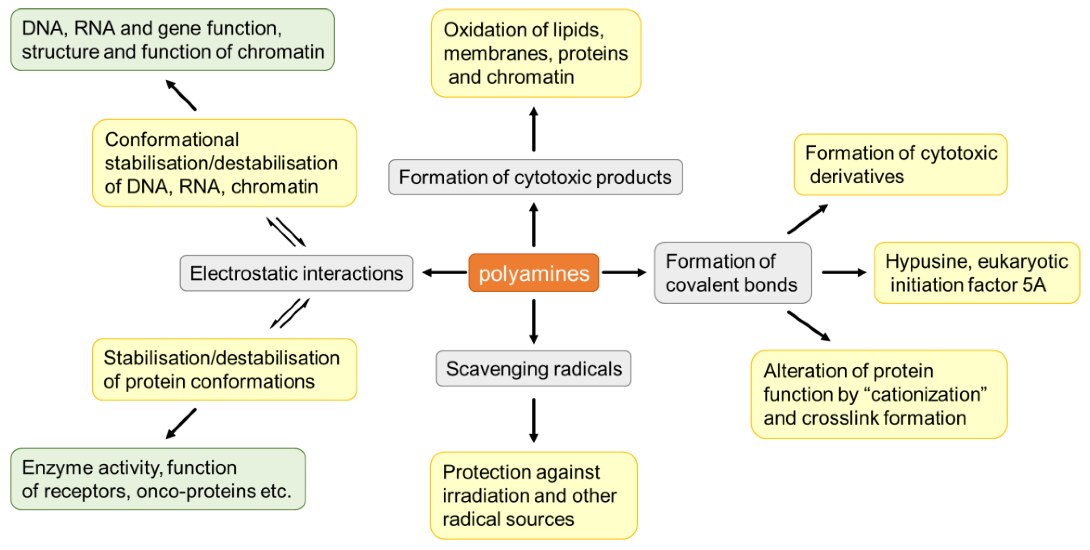 Biomolecules 12 01596 g006 Biomolecules 12 01596 g006