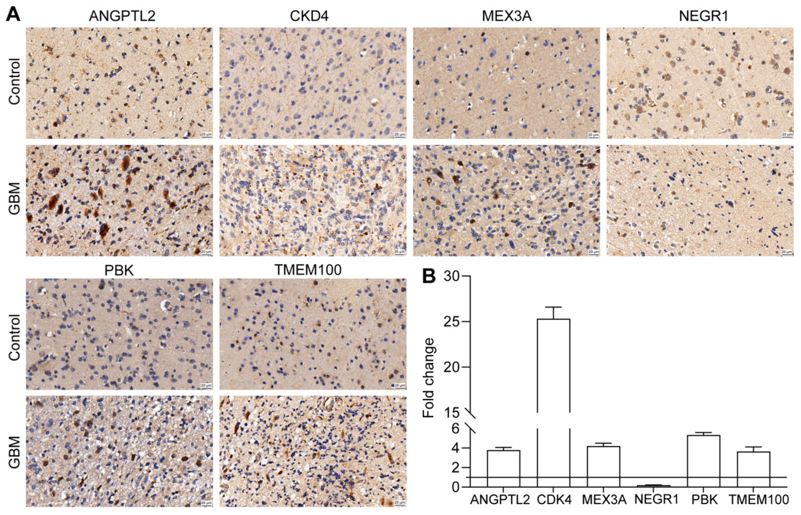 Biomolecules 12 01598 g010 Biomolecules 12 01598 g010