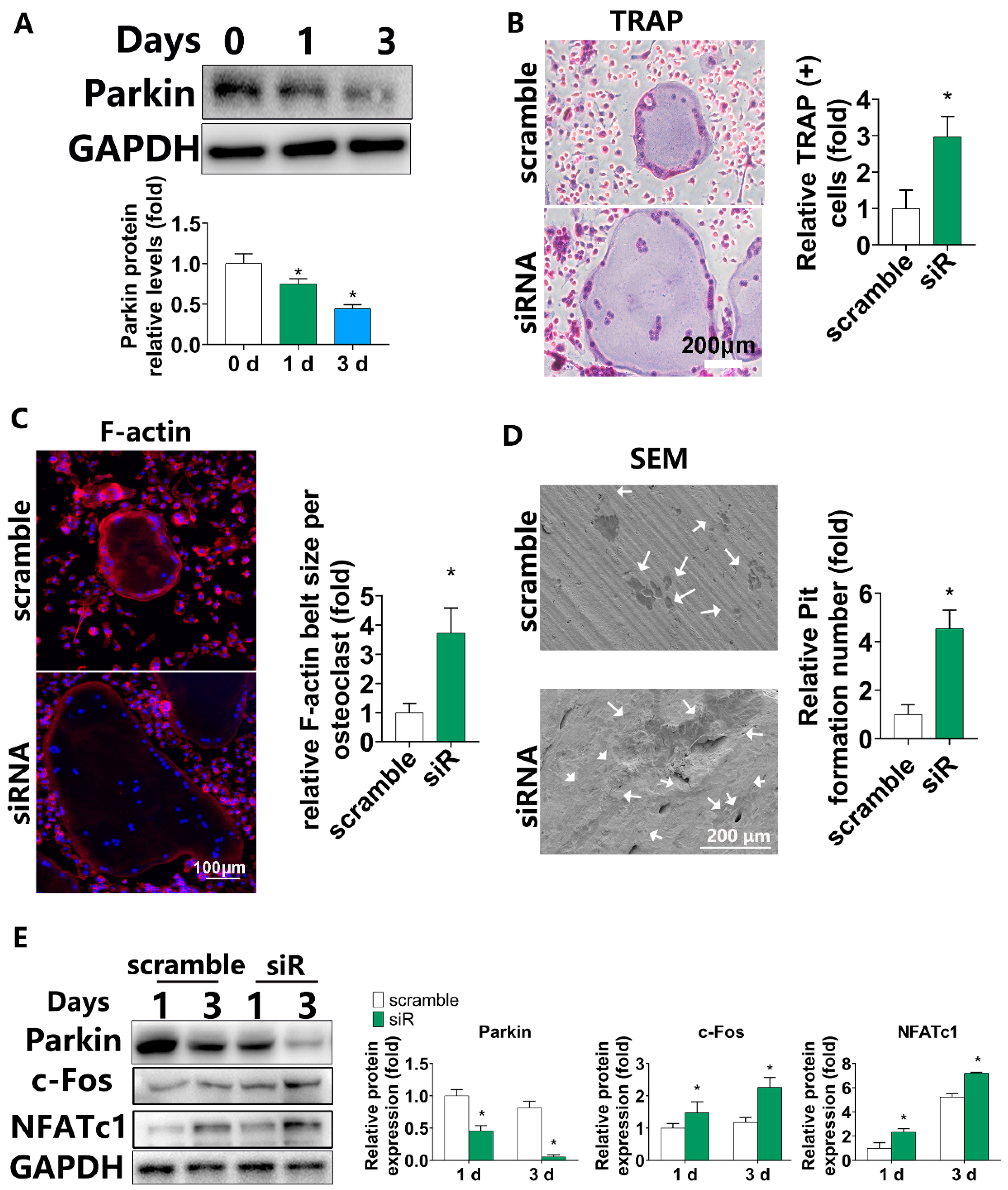 Biomolecules 12 01602 g001