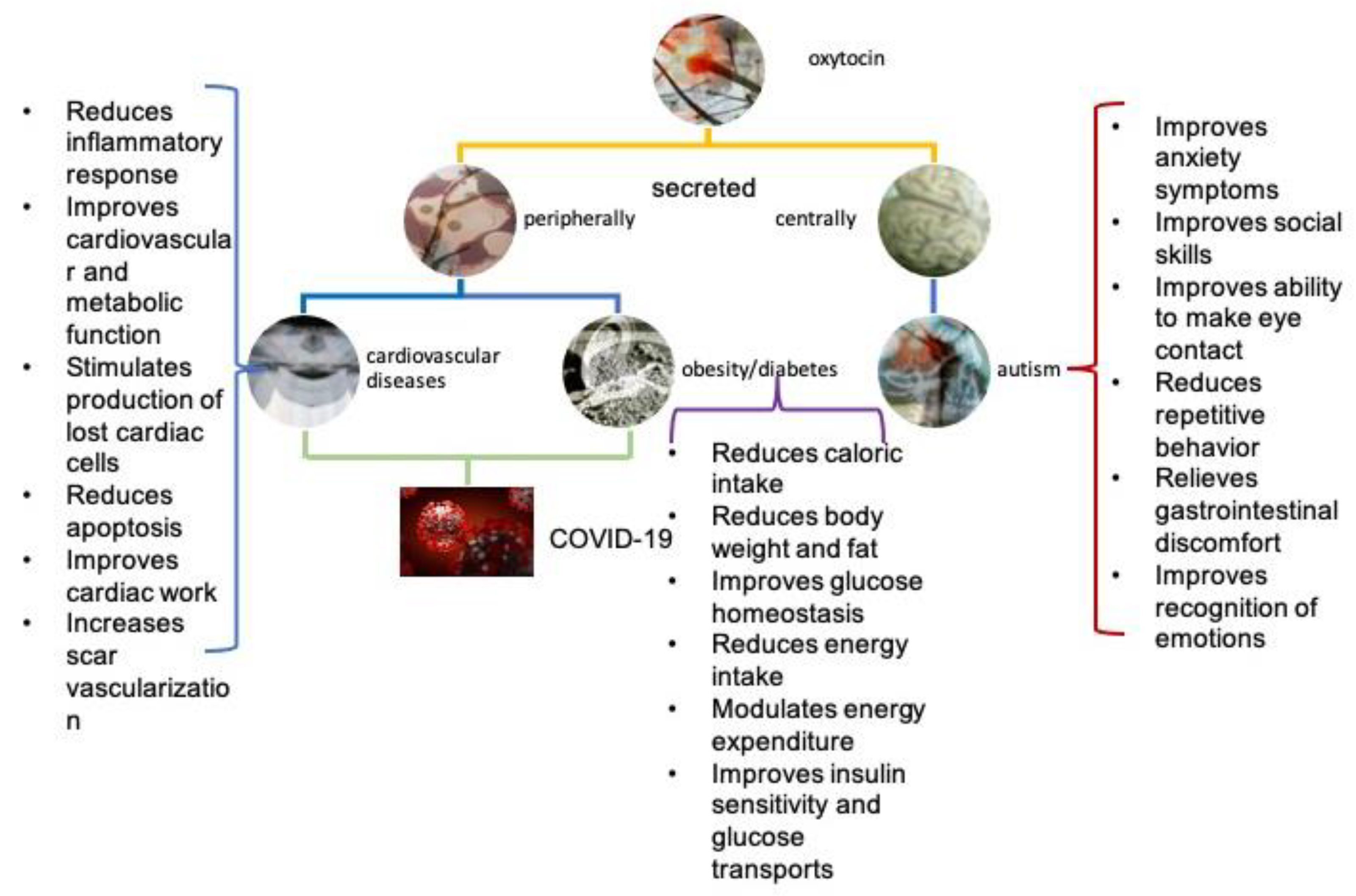 Biomolecules 12 01603 g002