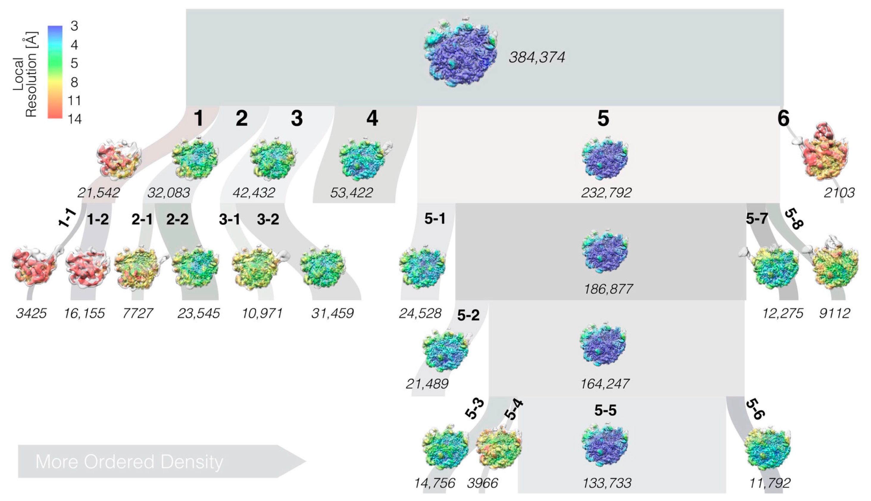 Biomolecules 12 01605 g001 Biomolecules 12 01605 g001