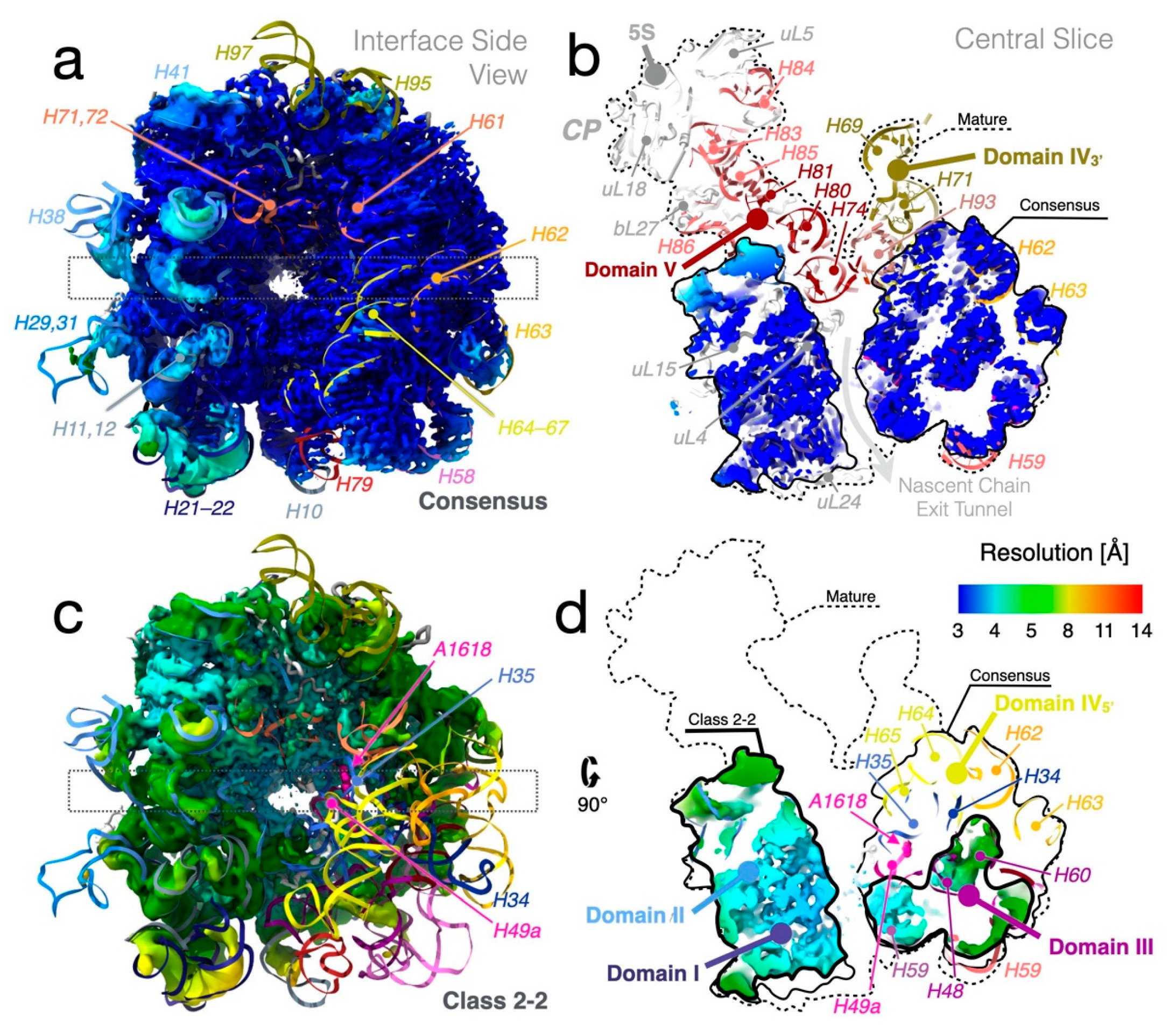 Biomolecules 12 01605 g003 Biomolecules 12 01605 g003