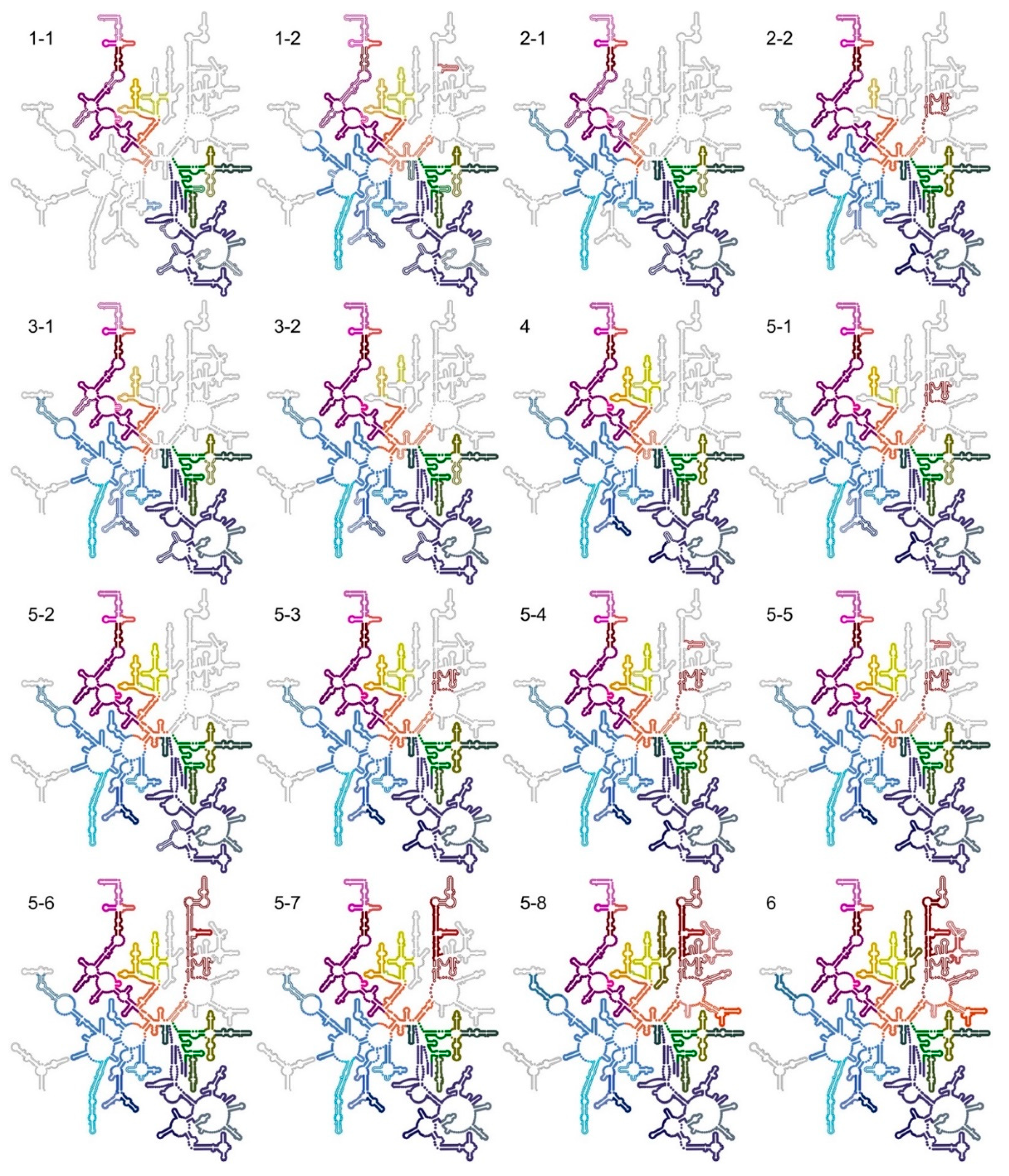 Biomolecules 12 01605 g004 Biomolecules 12 01605 g004