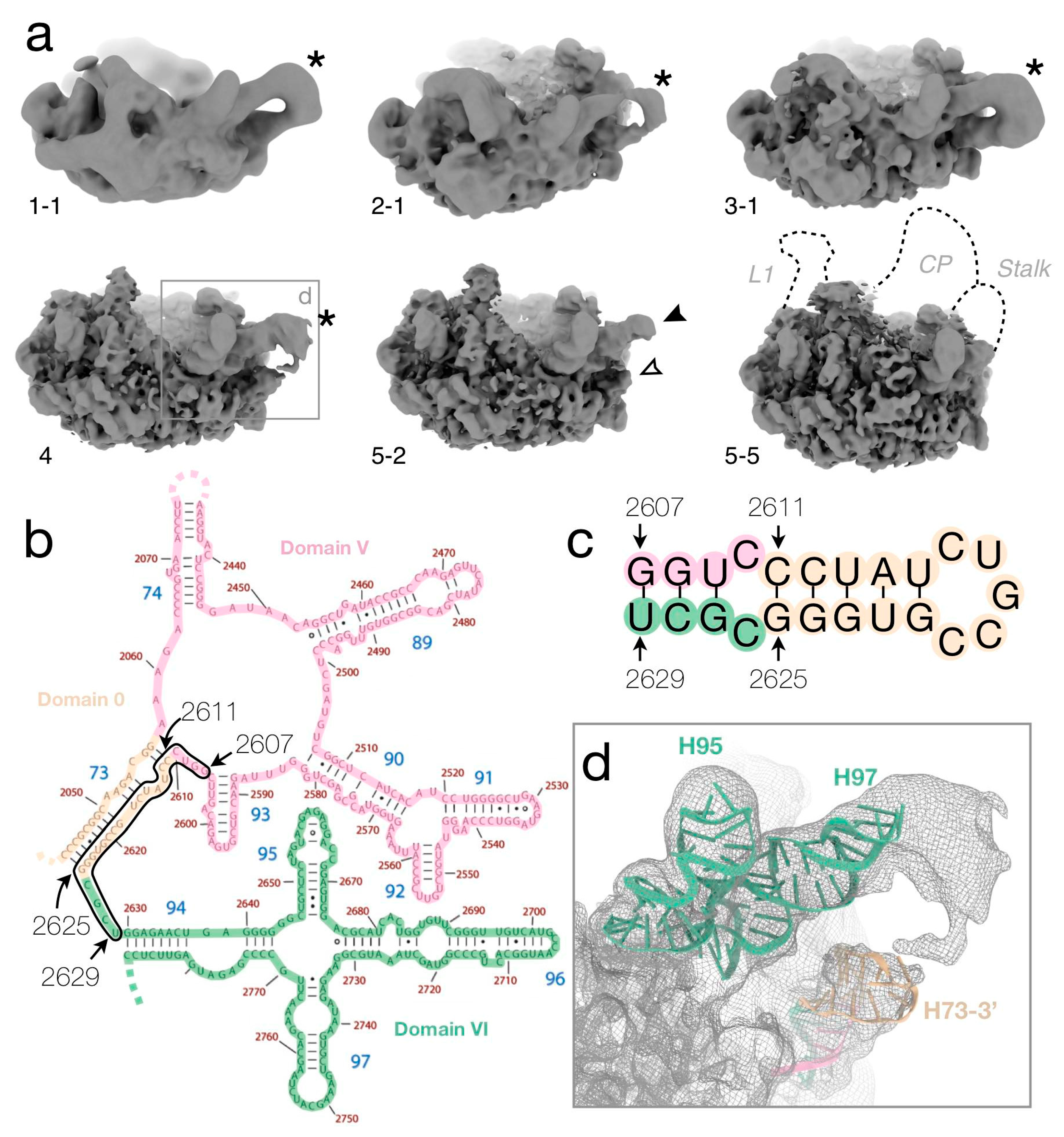 Biomolecules 12 01605 g005 Biomolecules 12 01605 g005