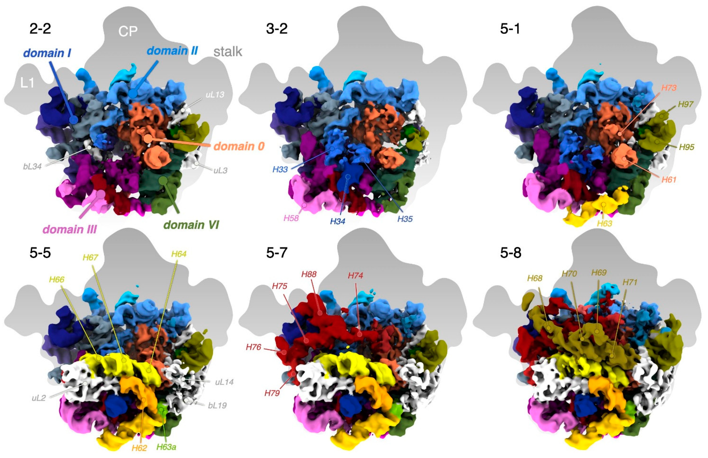 Biomolecules 12 01605 g007 Biomolecules 12 01605 g007