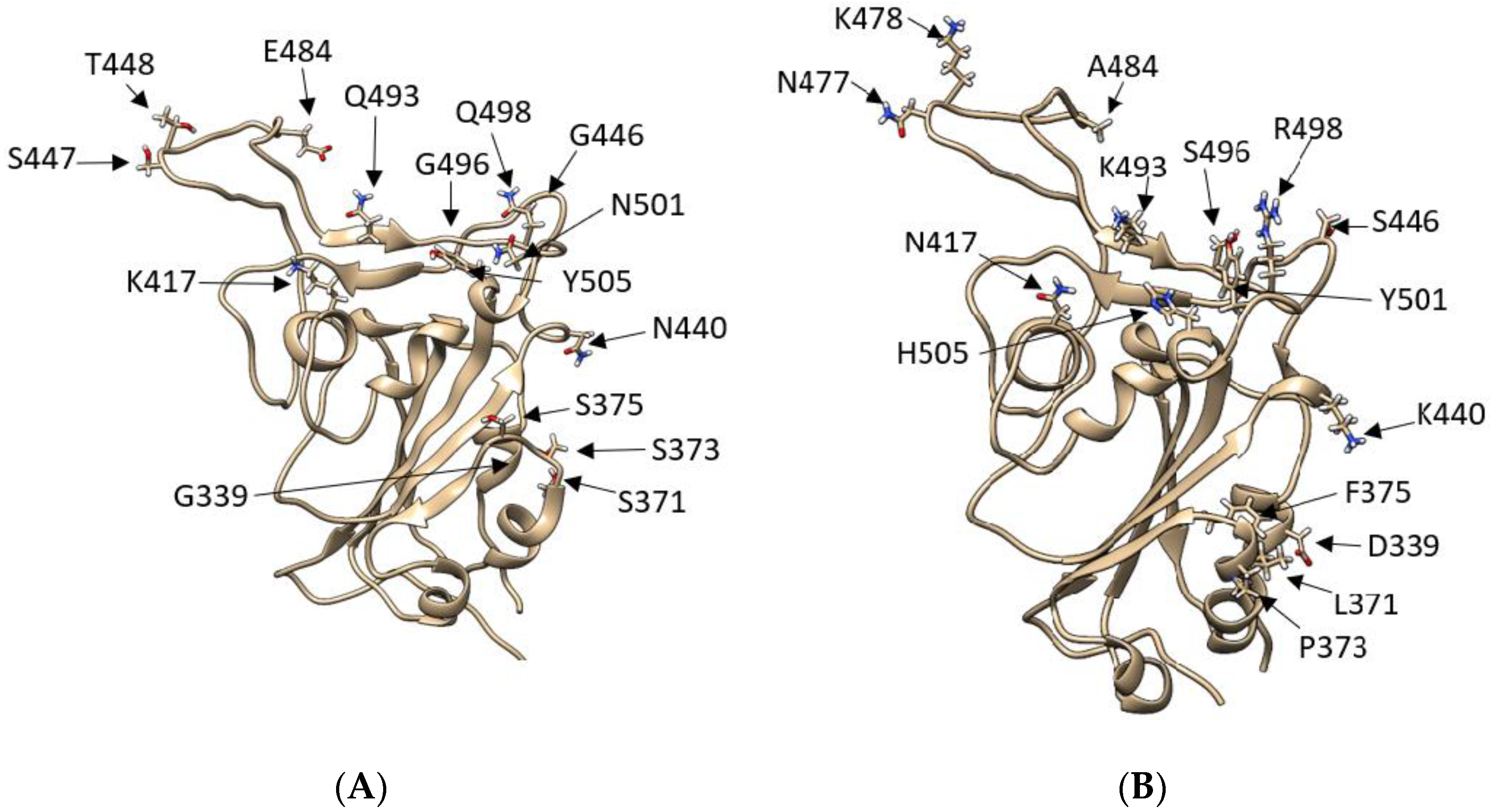 Biomolecules 12 01607 g001 Biomolecules 12 01607 g001