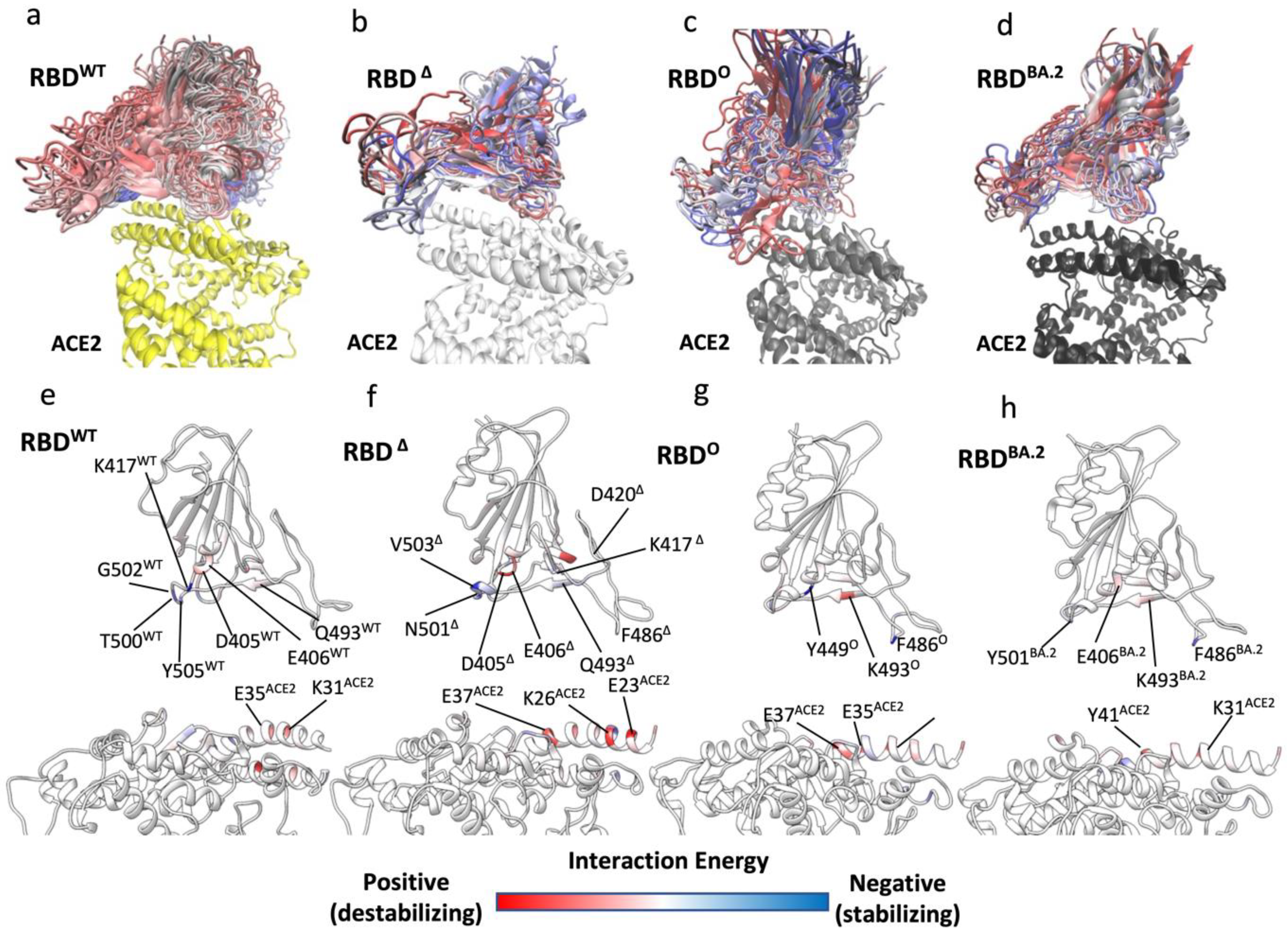 Biomolecules 12 01607 g003 Biomolecules 12 01607 g003