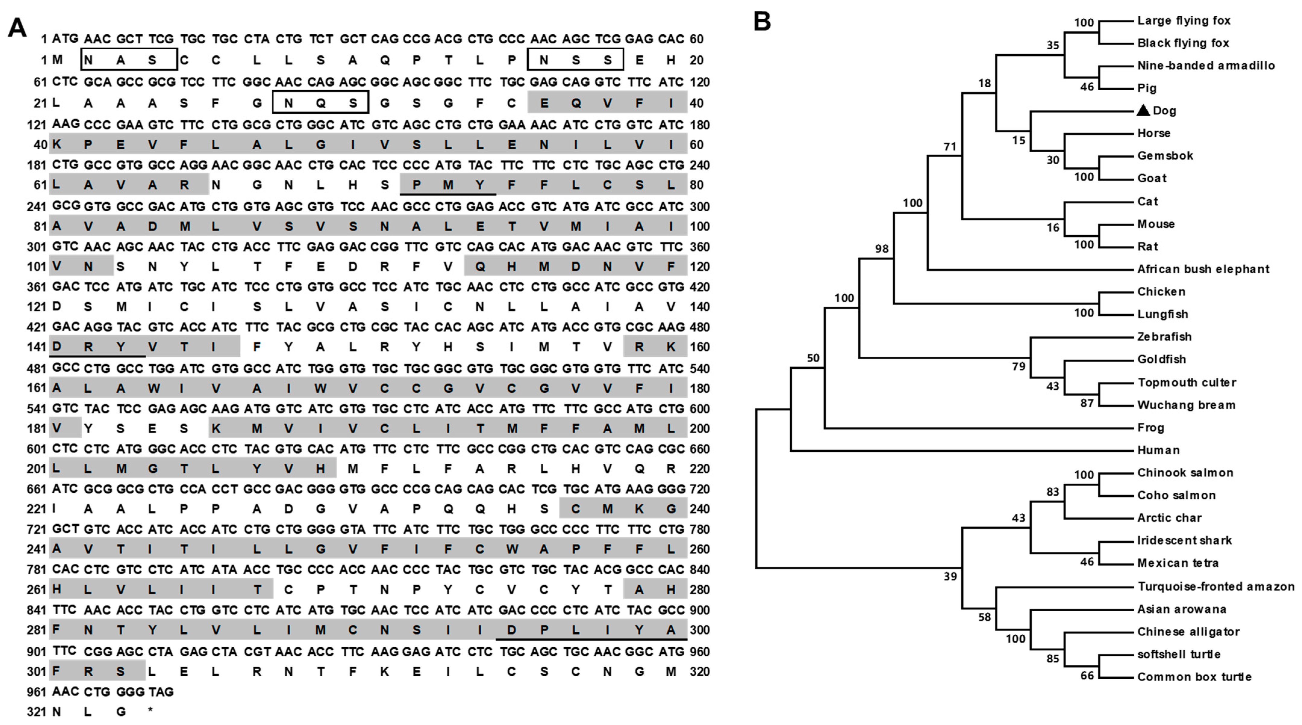 Biomolecules 12 01608 g001 Biomolecules 12 01608 g001