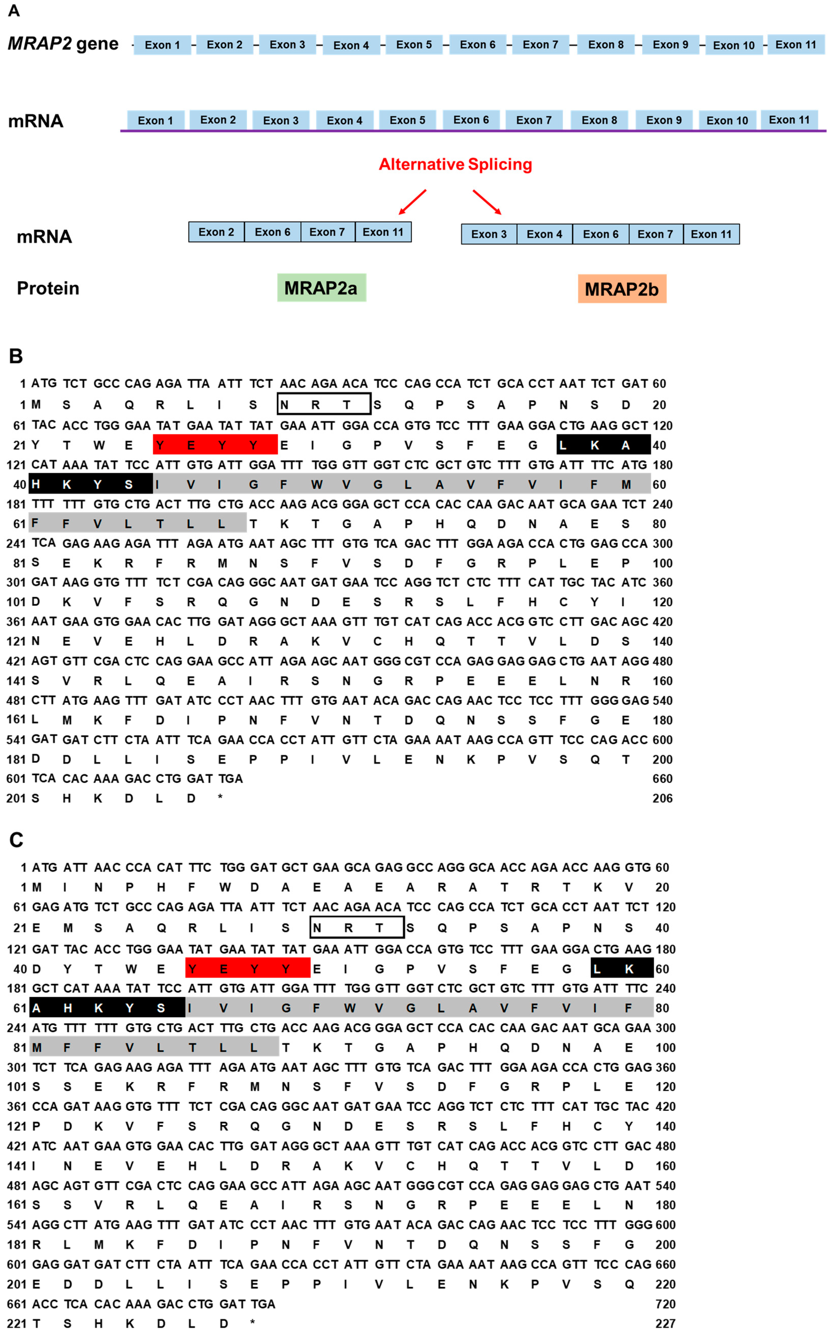 Biomolecules 12 01608 g003a Biomolecules 12 01608 g003a