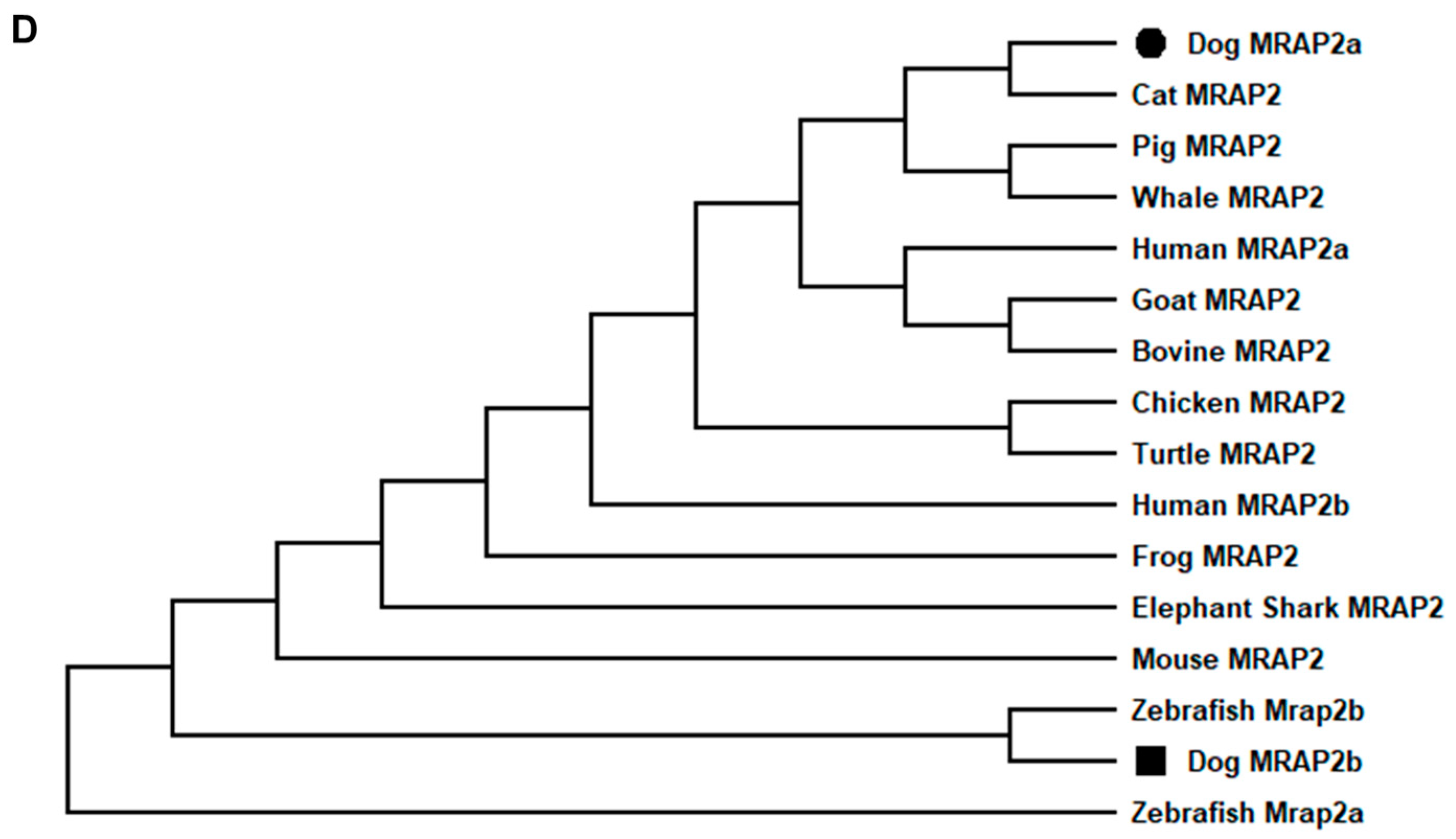 Biomolecules 12 01608 g003b Biomolecules 12 01608 g003b