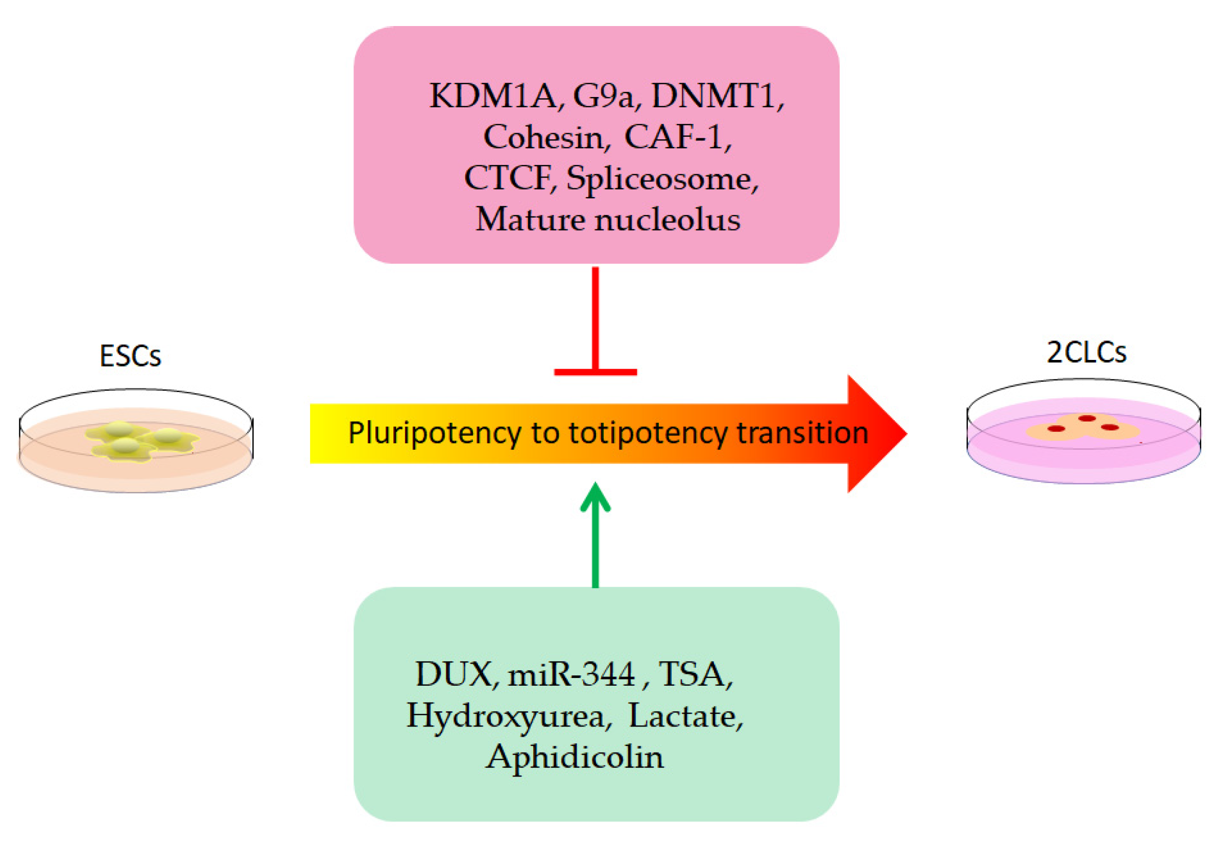 Biomolecules 12 01611 g002 Biomolecules 12 01611 g002