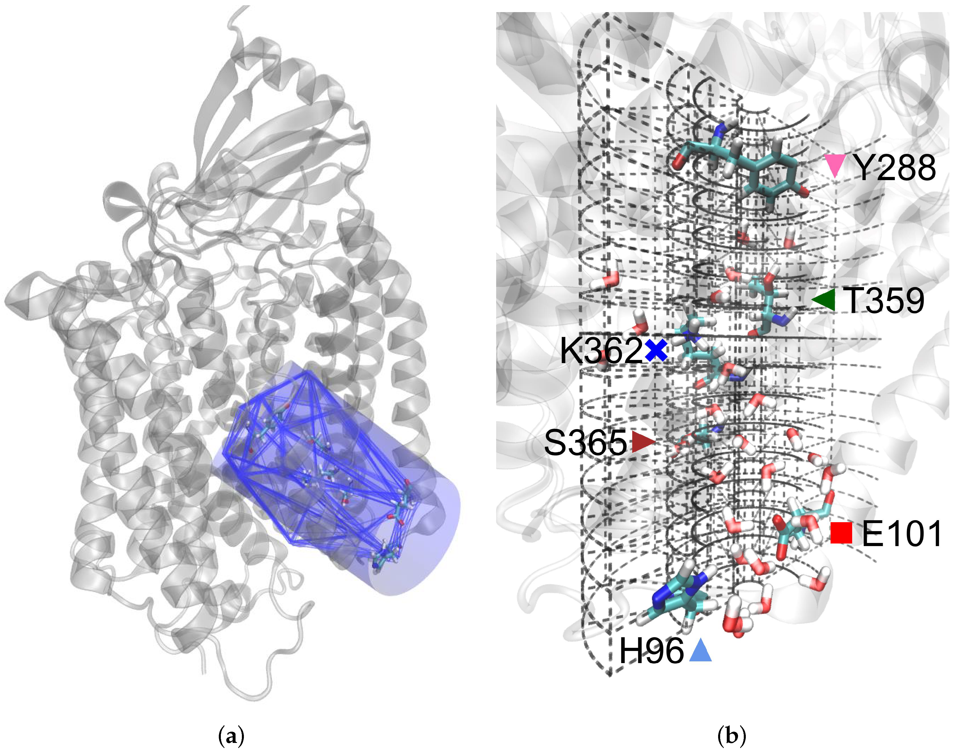 Biomolecules 12 01615 g002 Biomolecules 12 01615 g002