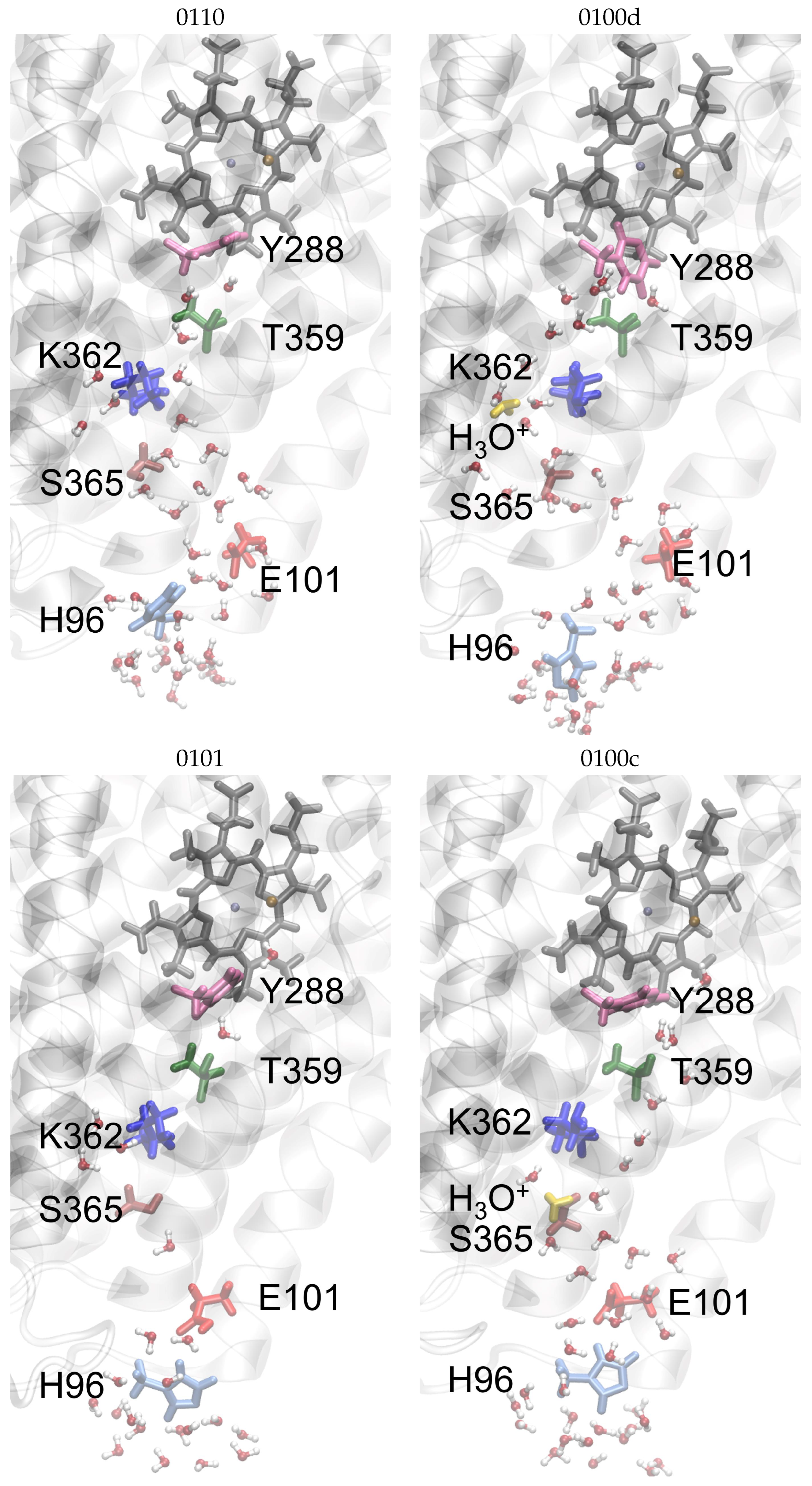 Biomolecules 12 01615 g003 Biomolecules 12 01615 g003
