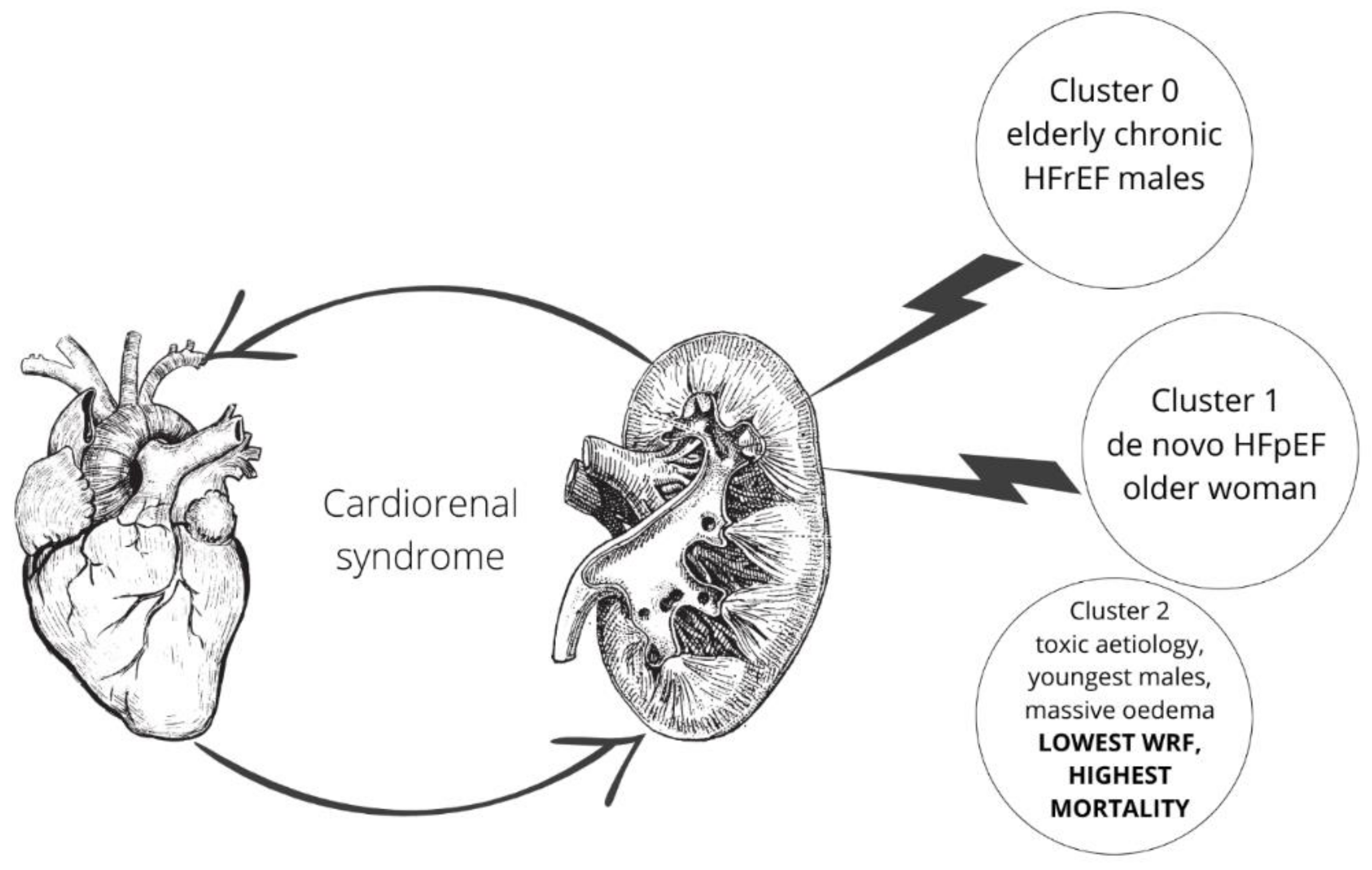 Biomolecules 12 01616 g002
