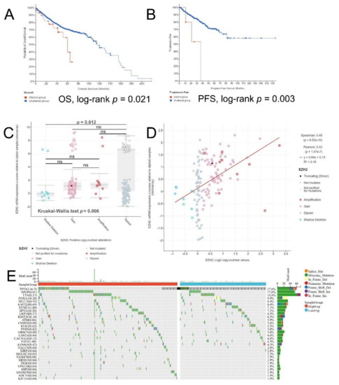 EZH2 as a Prognostic Factor and Its Immune Implication with Molecular ...
