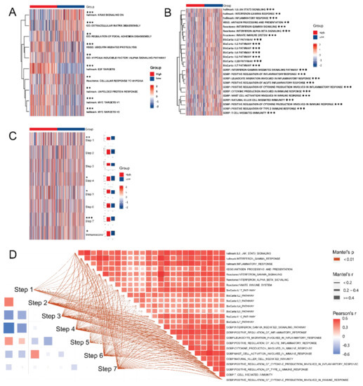 EZH2 as a Prognostic Factor and Its Immune Implication with Molecular ...
