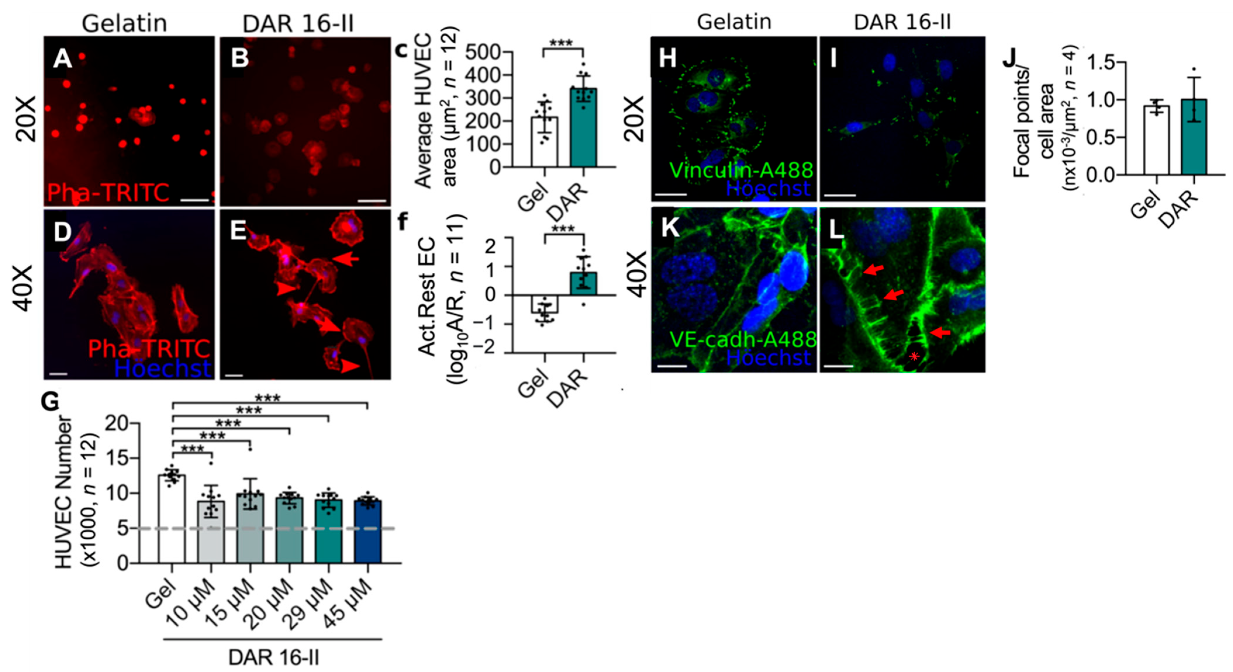 Stem cell-based bone regeneration in diseased microenvironments