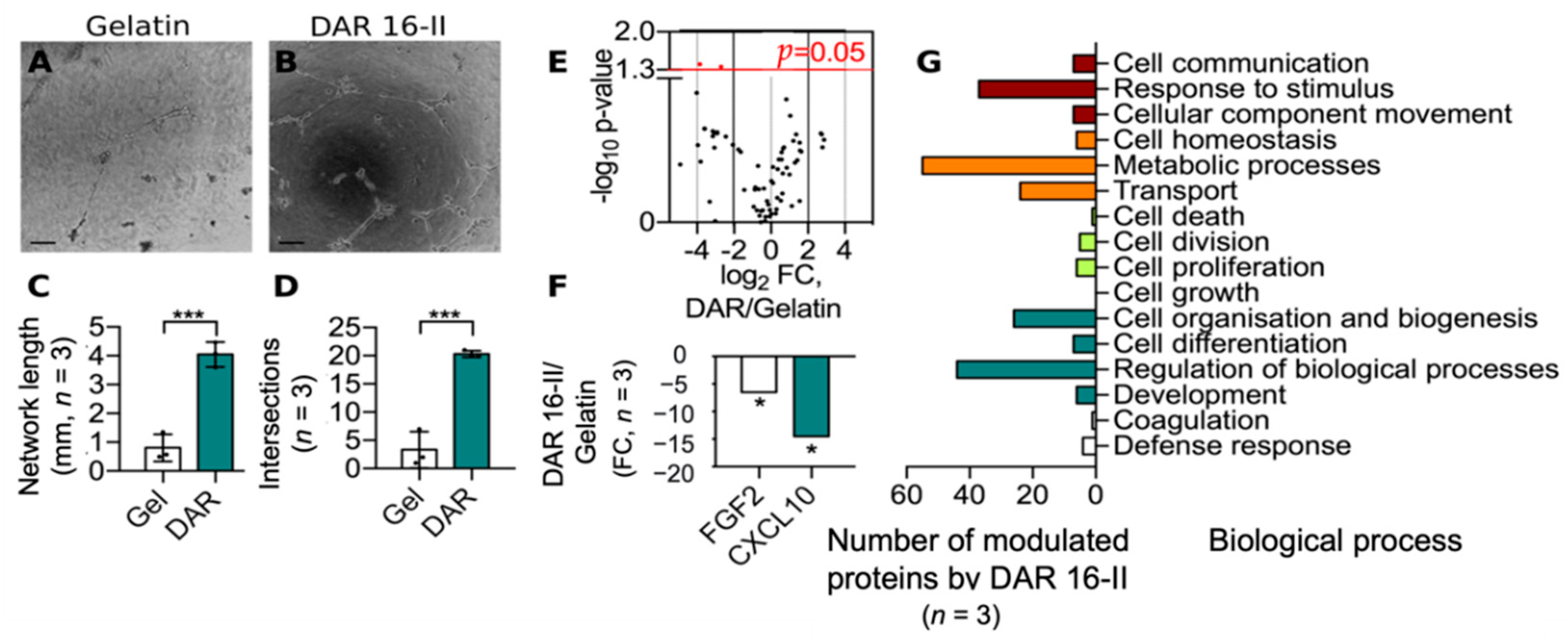Biomolecules 12 01619 g002 Biomolecules 12 01619 g002