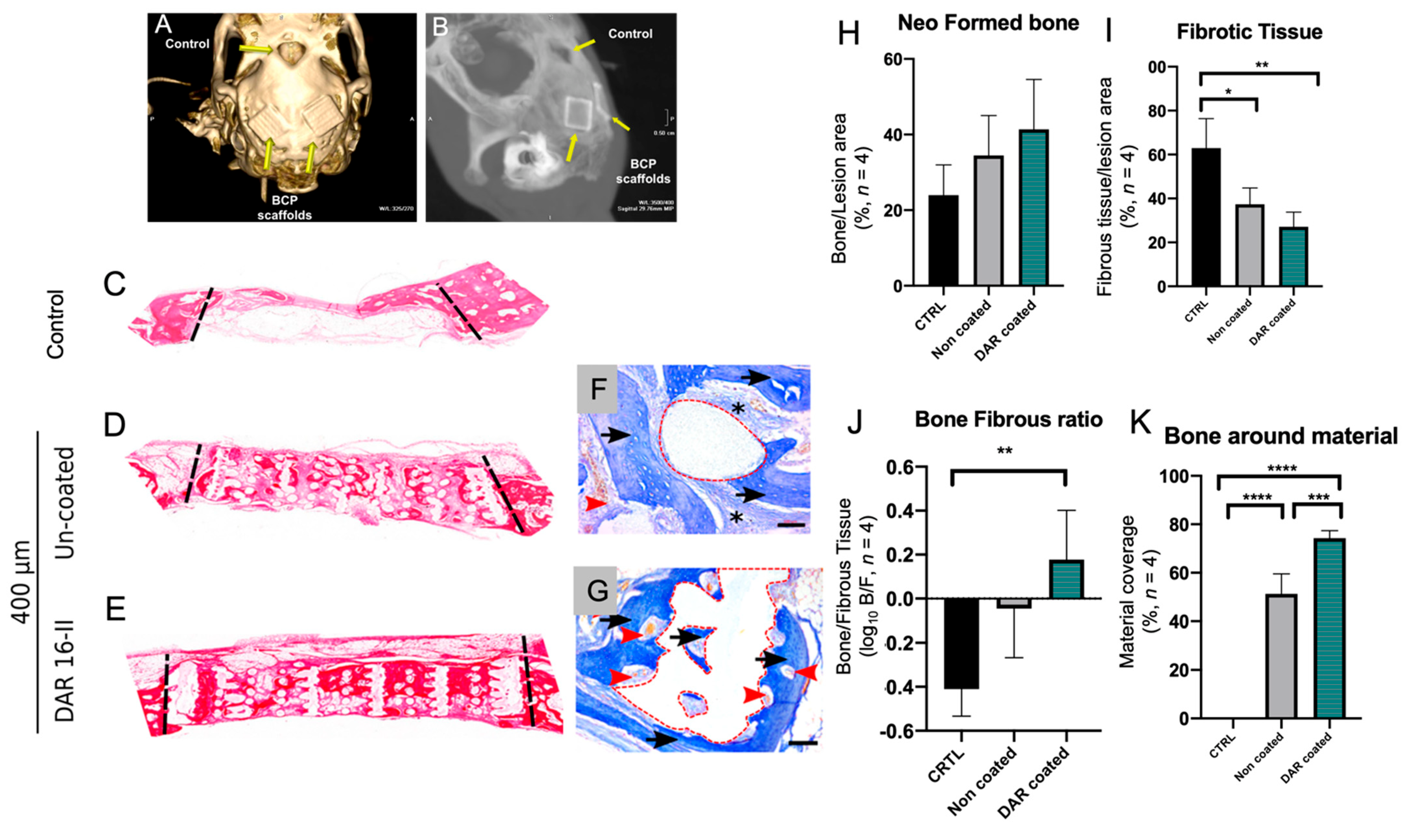 Biomolecules 12 01619 g005 Biomolecules 12 01619 g005