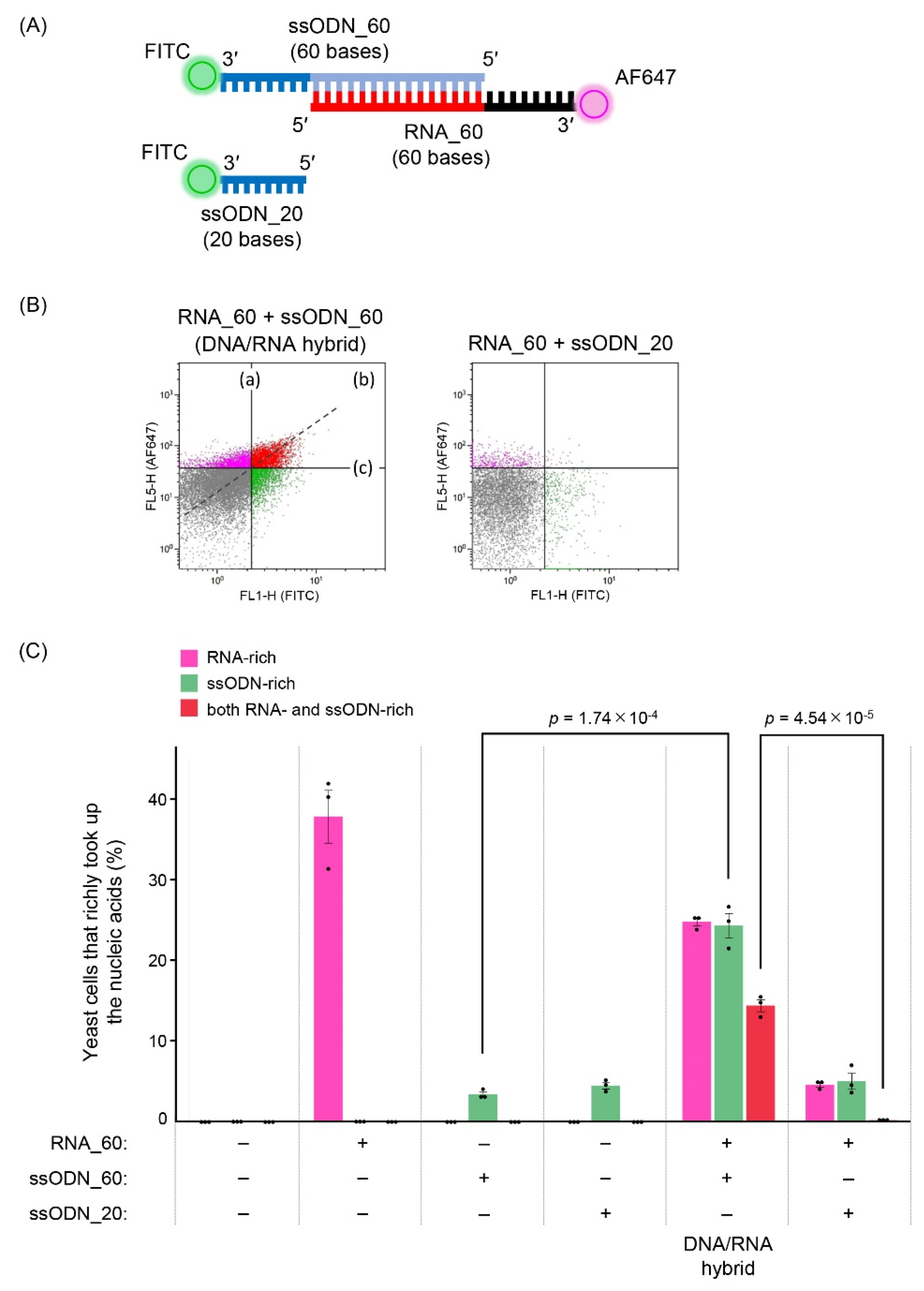 Biomolecules 12 01621 g005