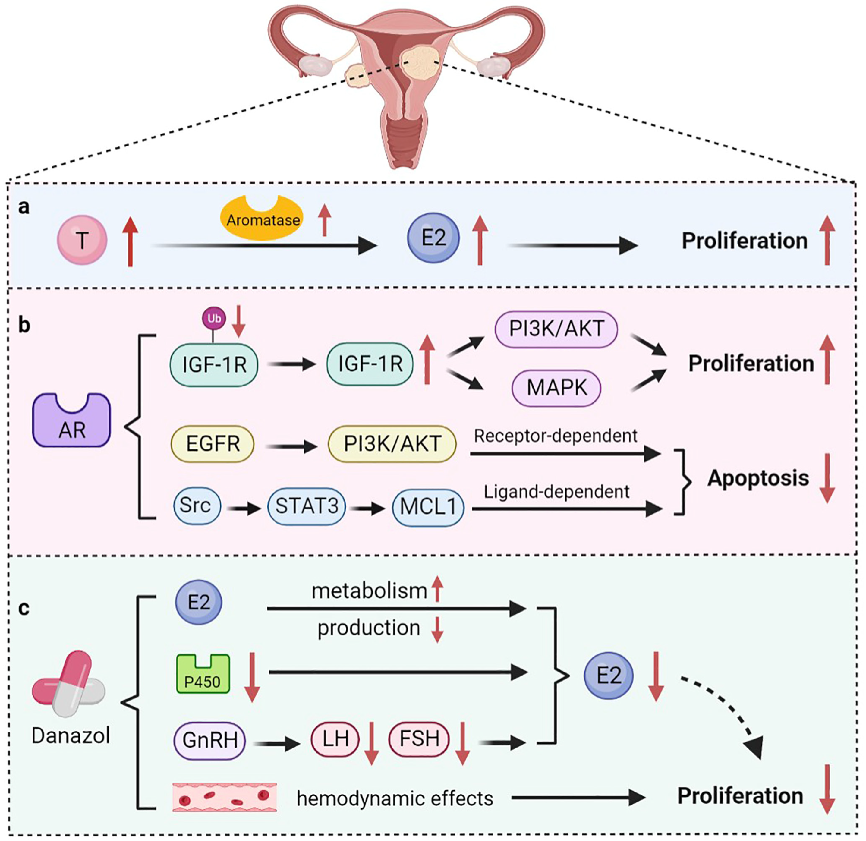 Biomolecules 12 01624 g002