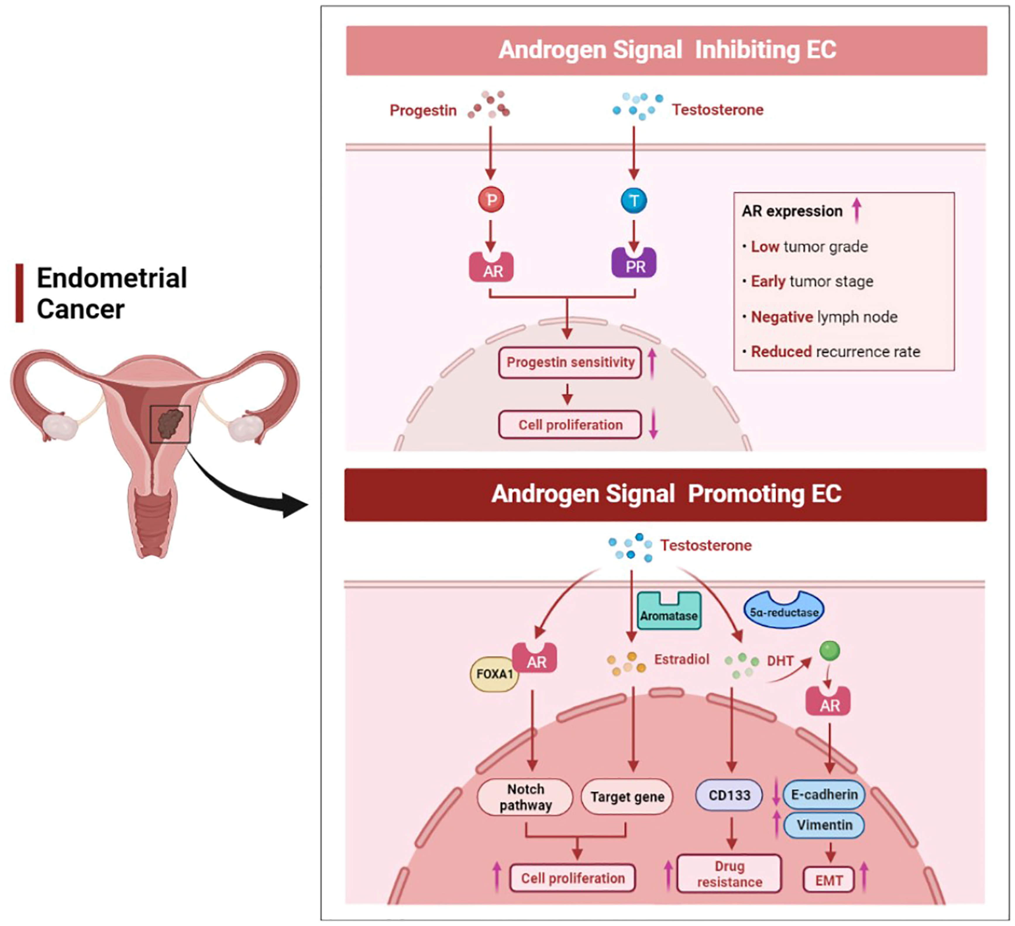 Biomolecules 12 01624 g004